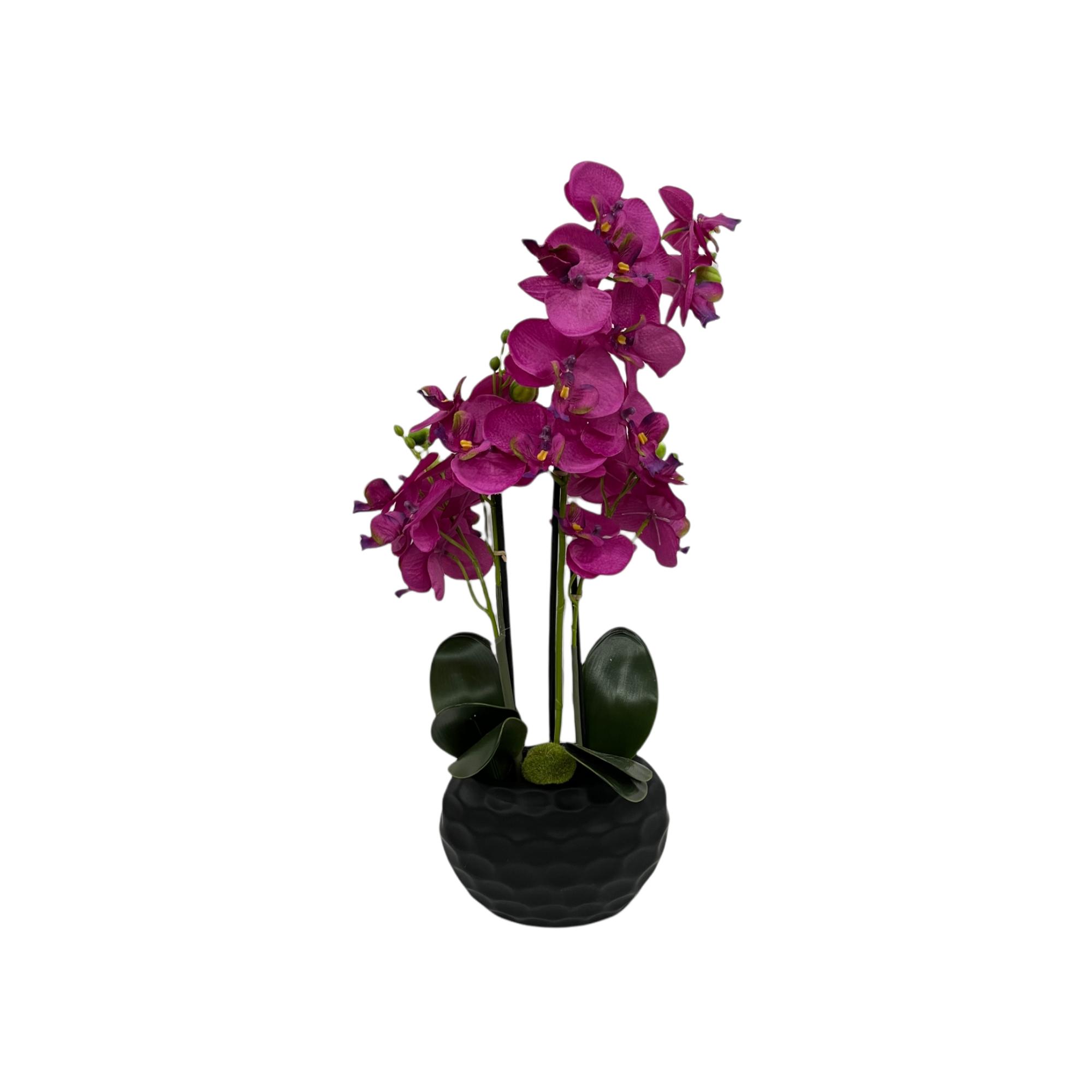 ORQUIDEA ART. C/POTE 20X15X57C - 456-472004