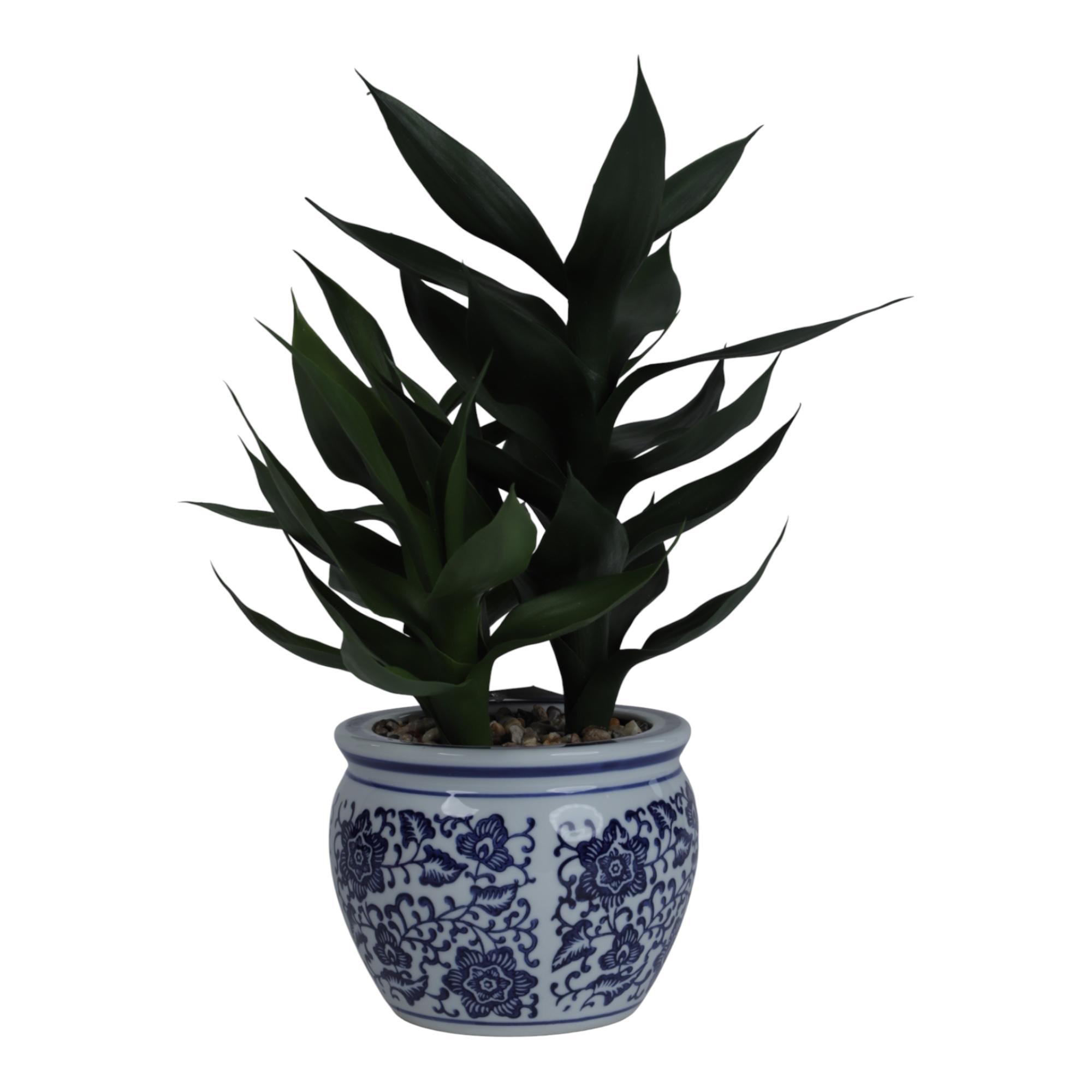 PLANTA CON POTE - 456-472292