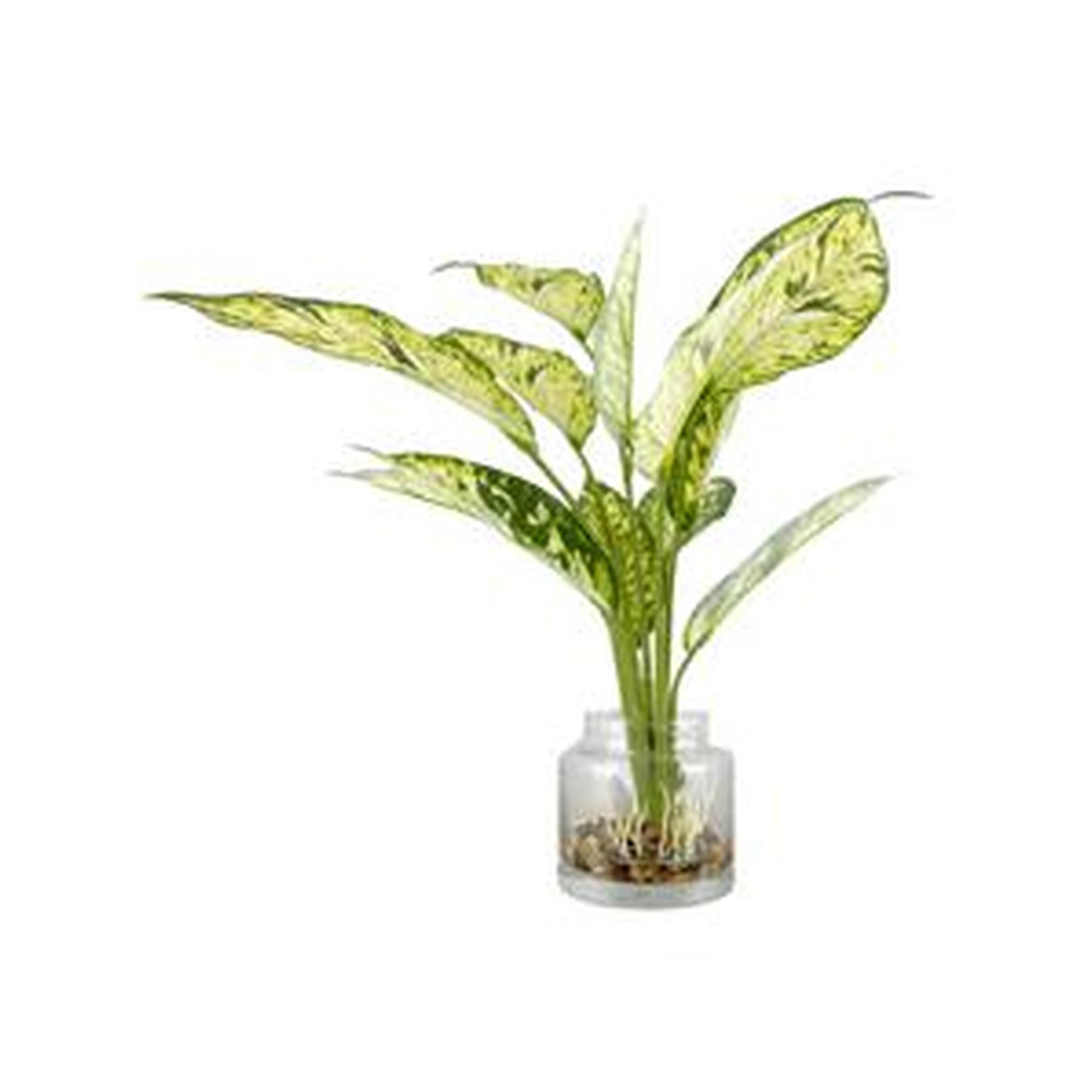 PLANTA C/POTE - 456-503153