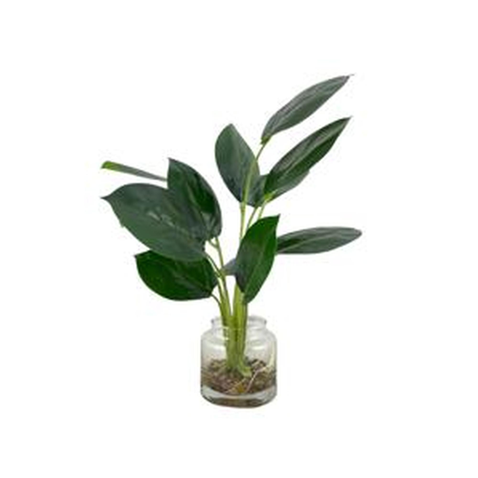 PLANTA COM VASO - 456-503158