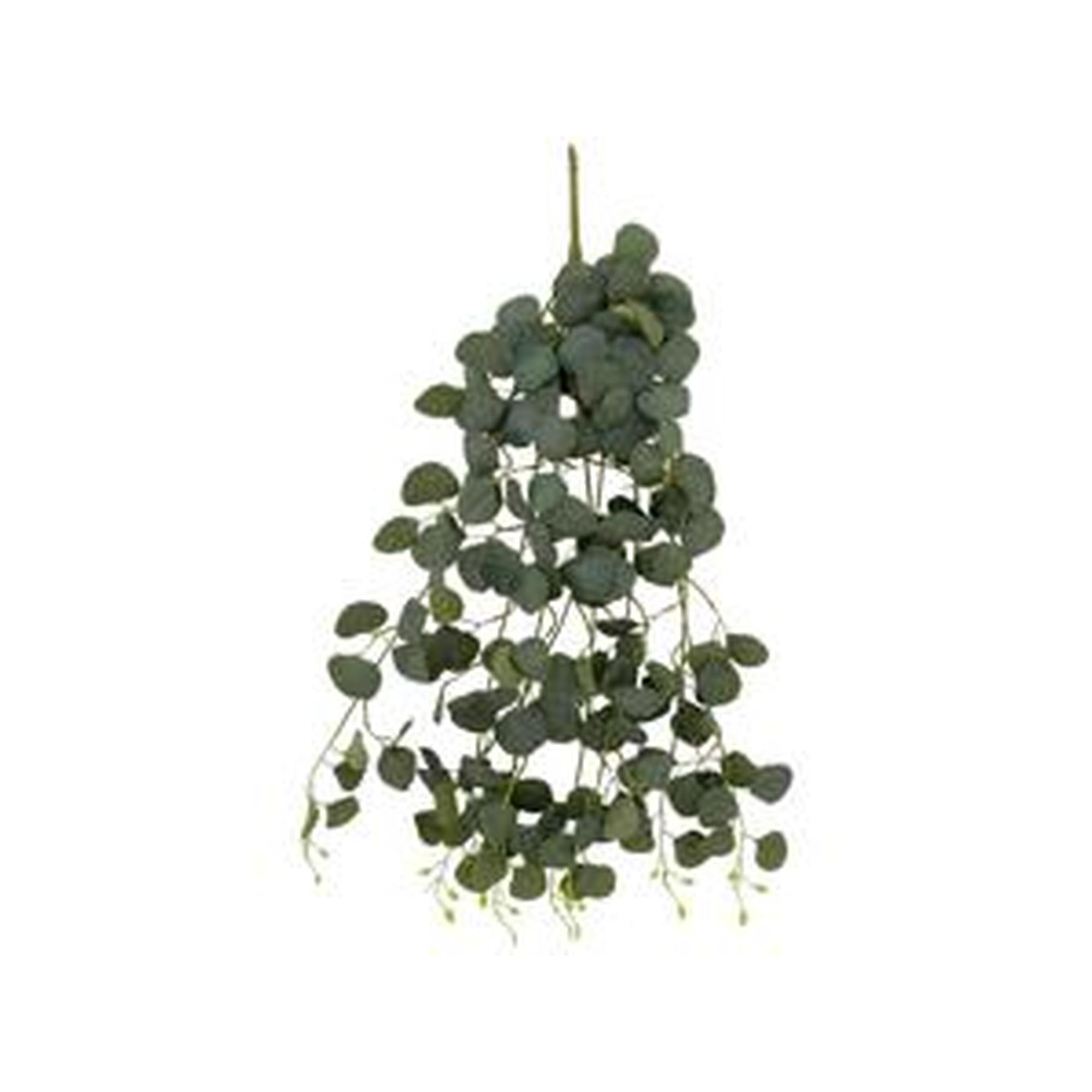 DECORAÇÃO DE BUQUÊ DE EUCALIPTO - 456-503424