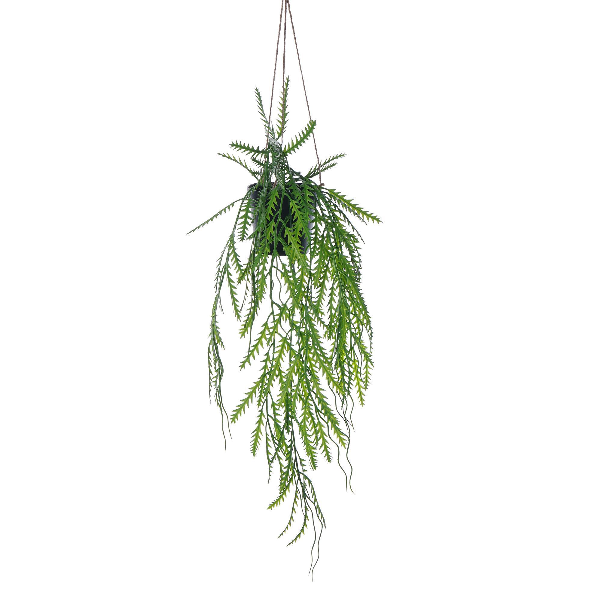PLANTA SUSPENSA 25X25X58CM - 456-503553