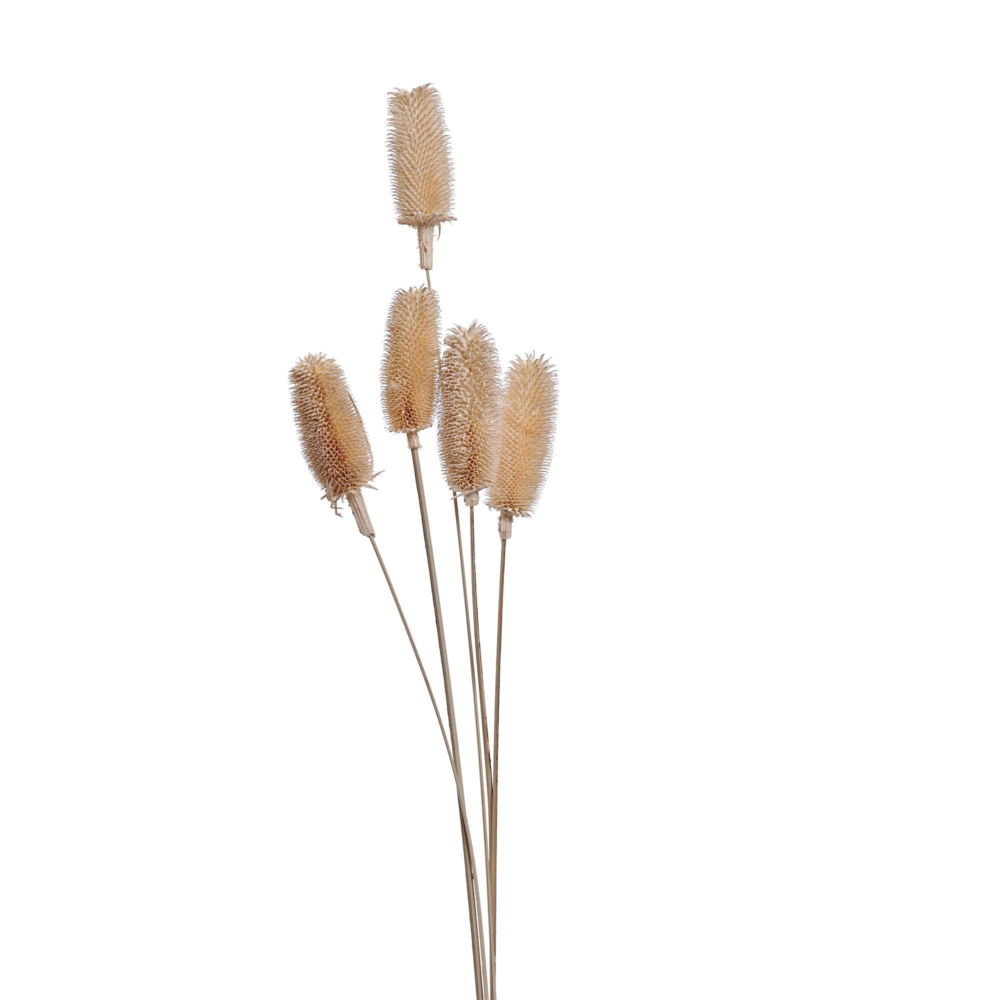 ESPIGAS 12X60CM - 456-503582