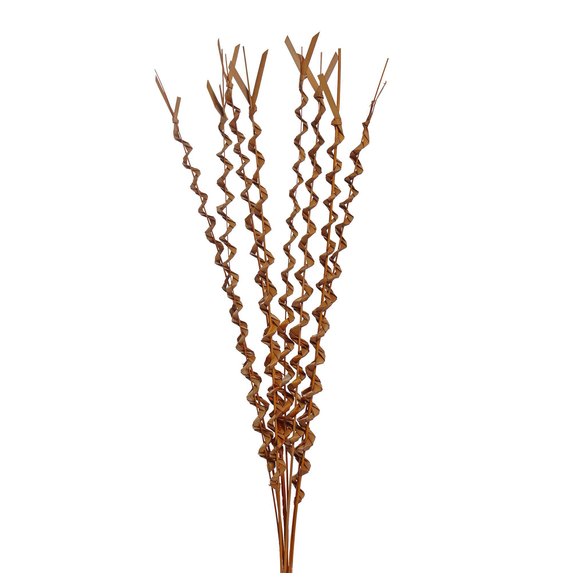 grass - 456-503598