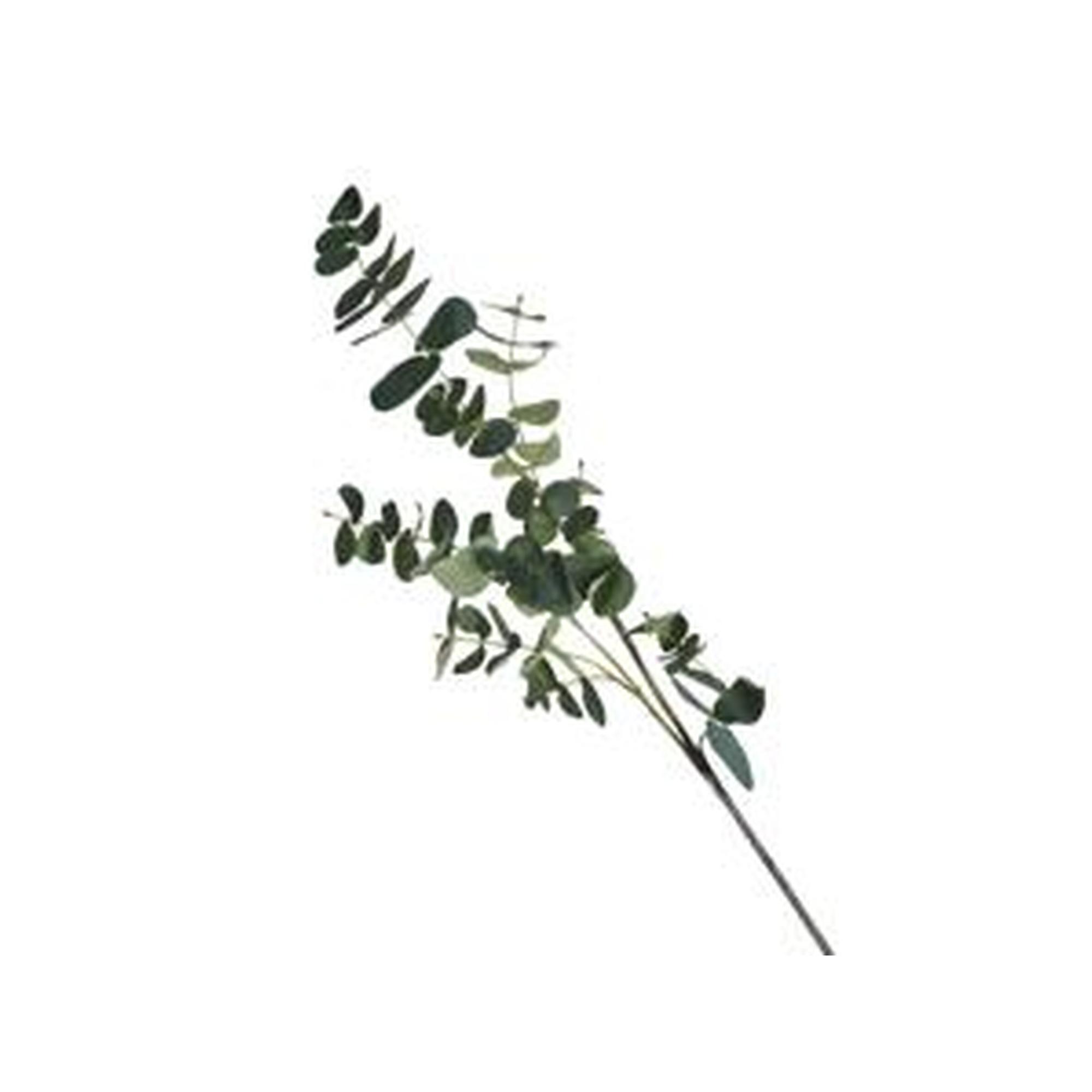 EUCALIPTO DECOR 88CM - 456-512283