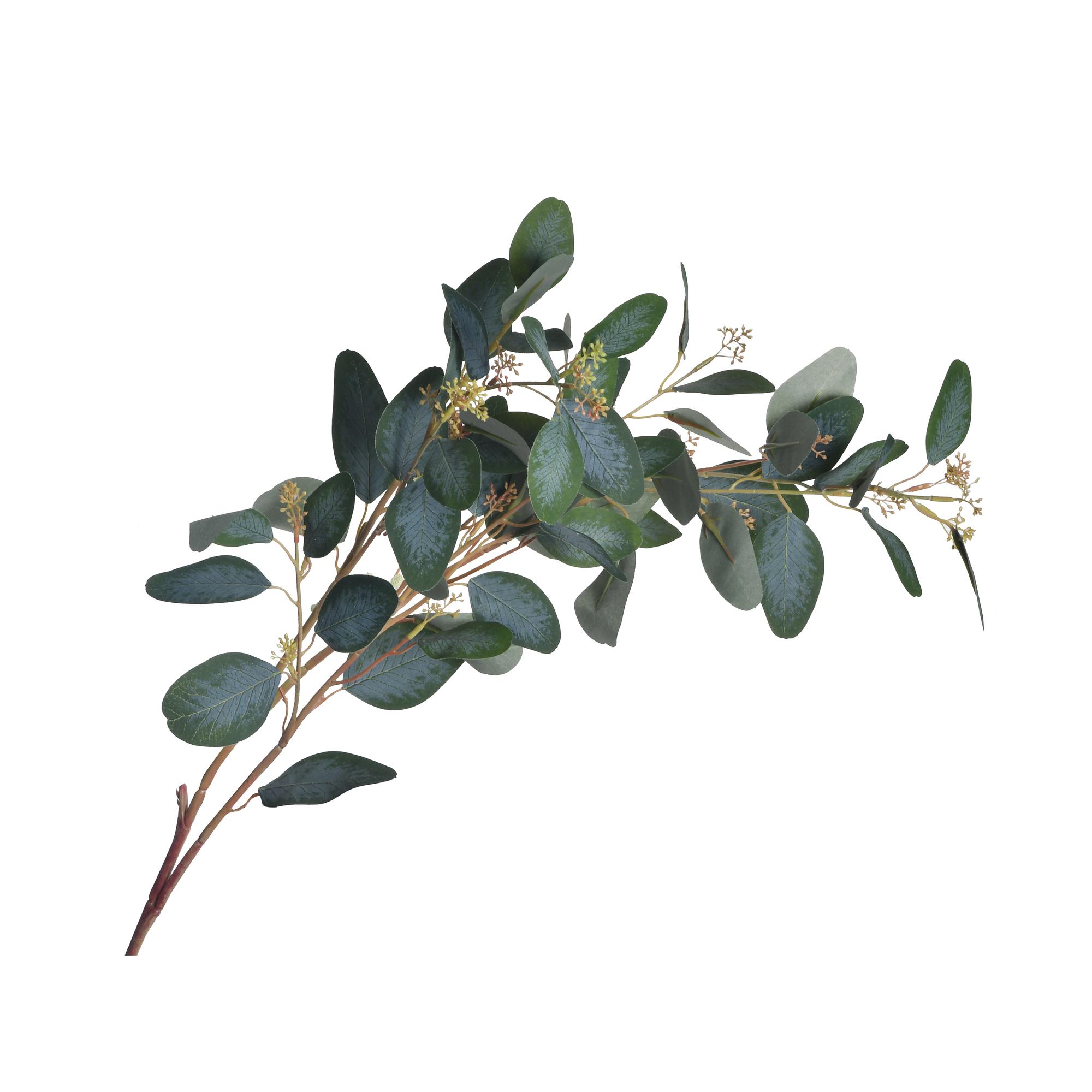 EUCALIPTO ART. 113 CM - 456-512289