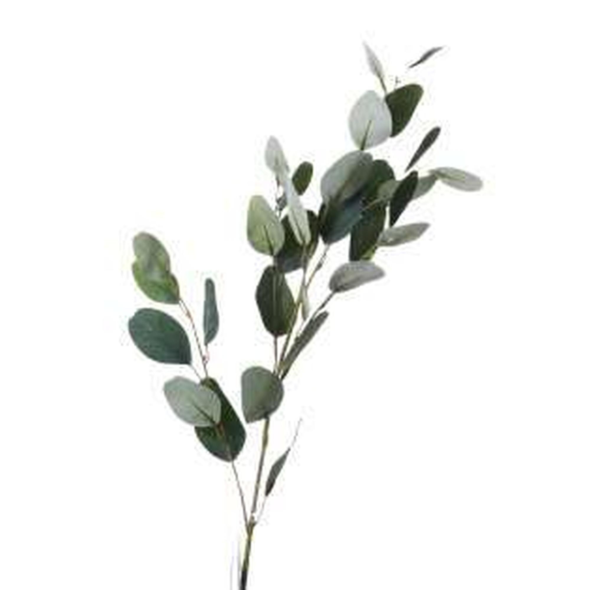 EUCALIPTO ART. 90 CM - 456-512441