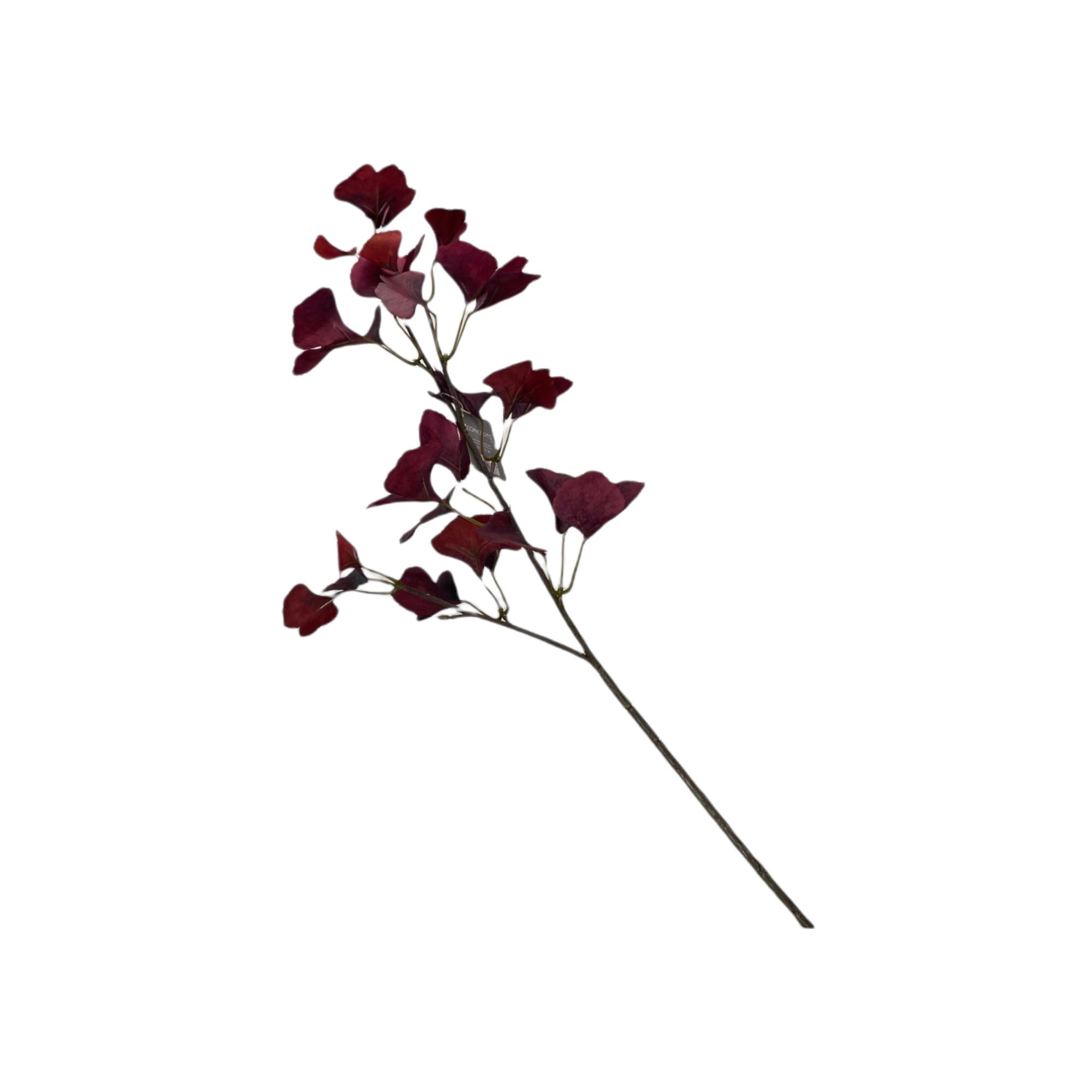 PLANTA ART. 93 CM - 456-512614