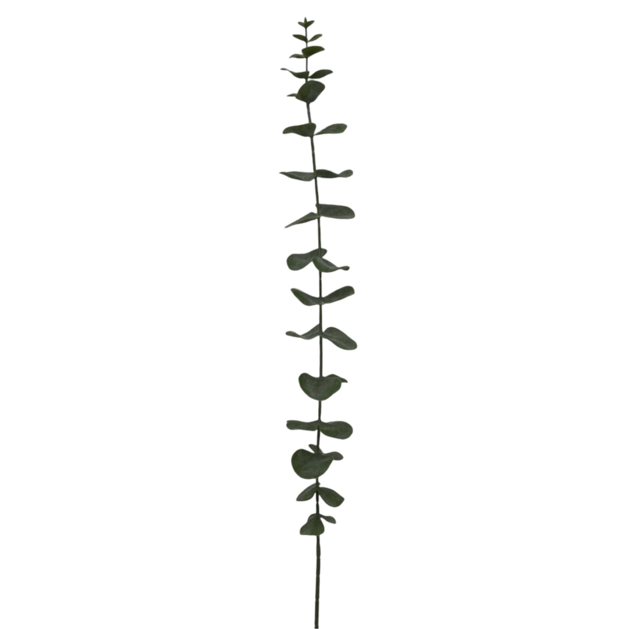 EUCALIPTO 92CM - 456-512962