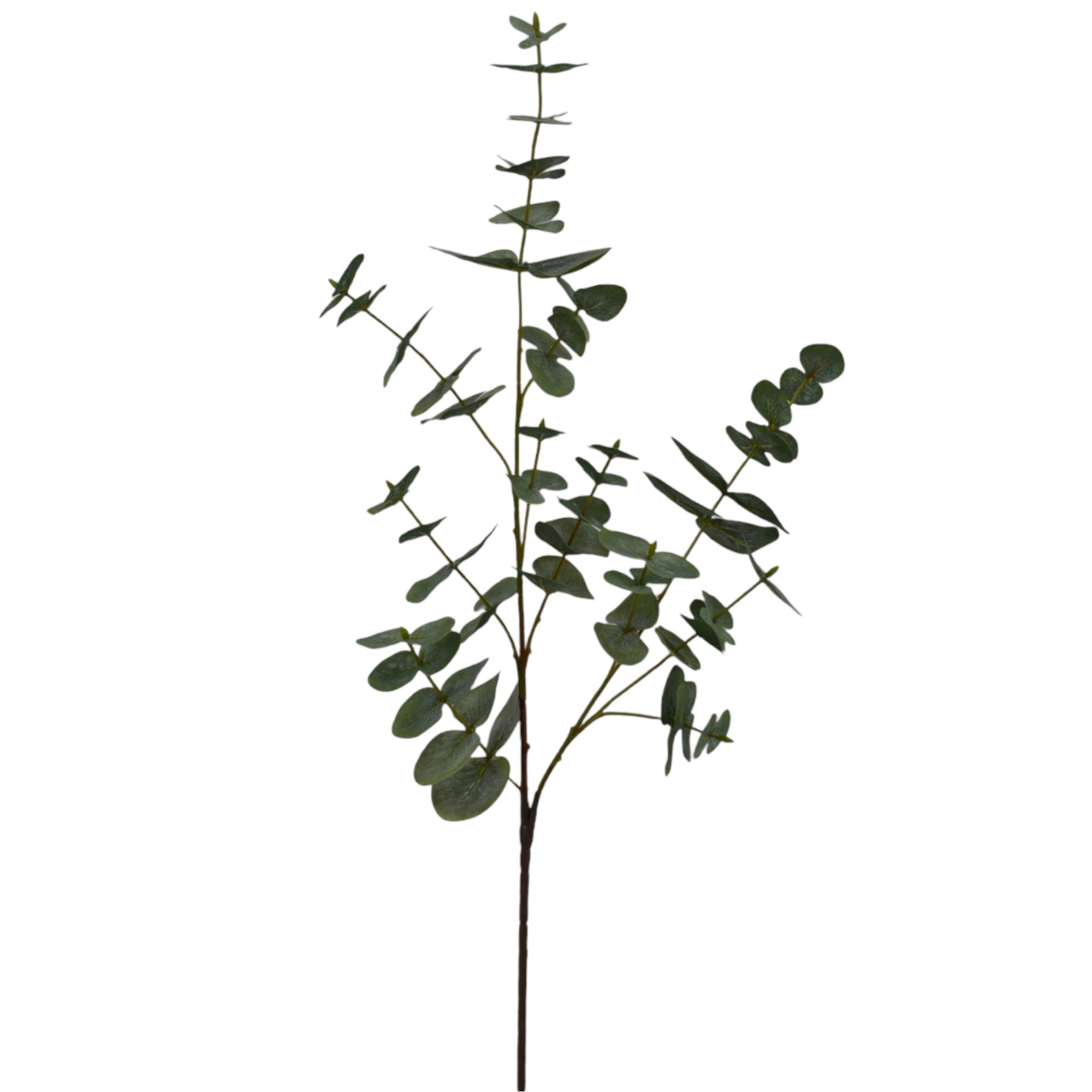 EUCALIPTO 88CM - 456-512965