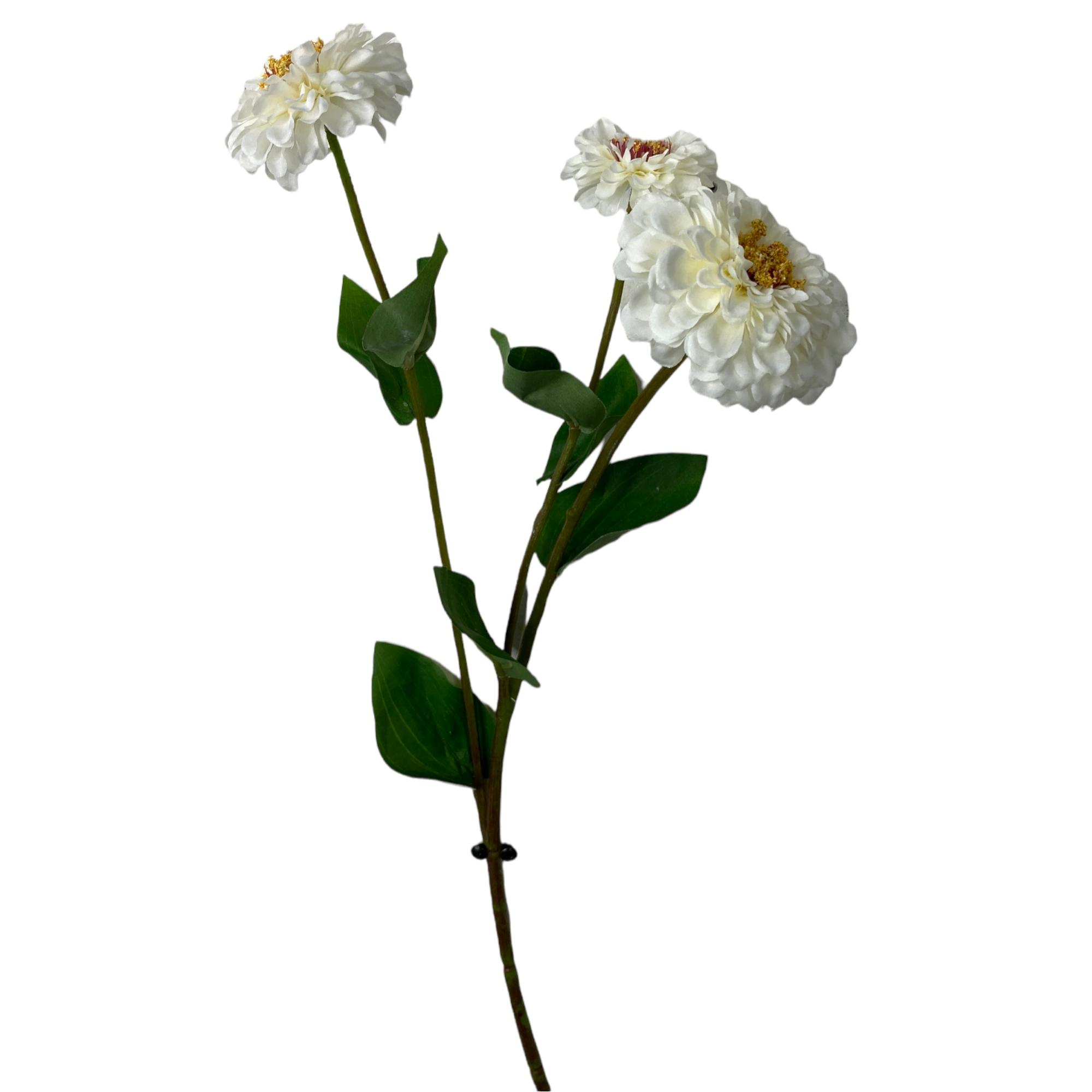 50CM ZINNIA X3 - 456-512966