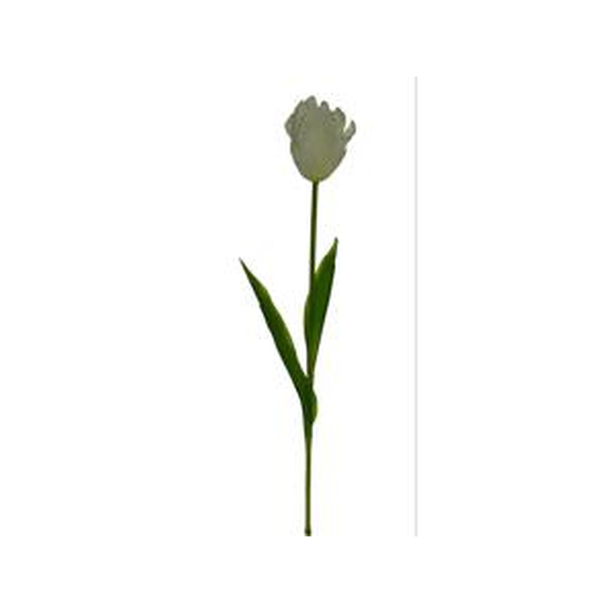 77CM PARROT TULIP1 - 456-512979