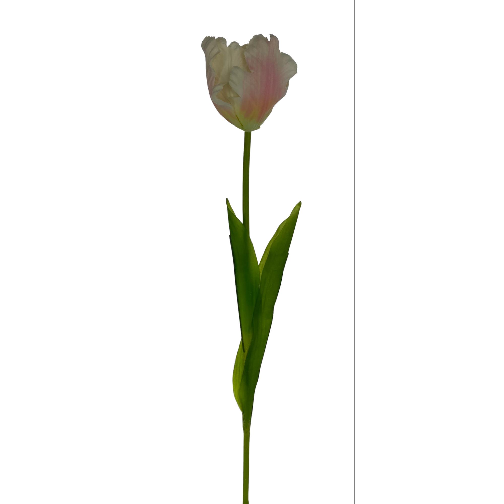 TULIP DECOR 15X13X77CM - 456-512981