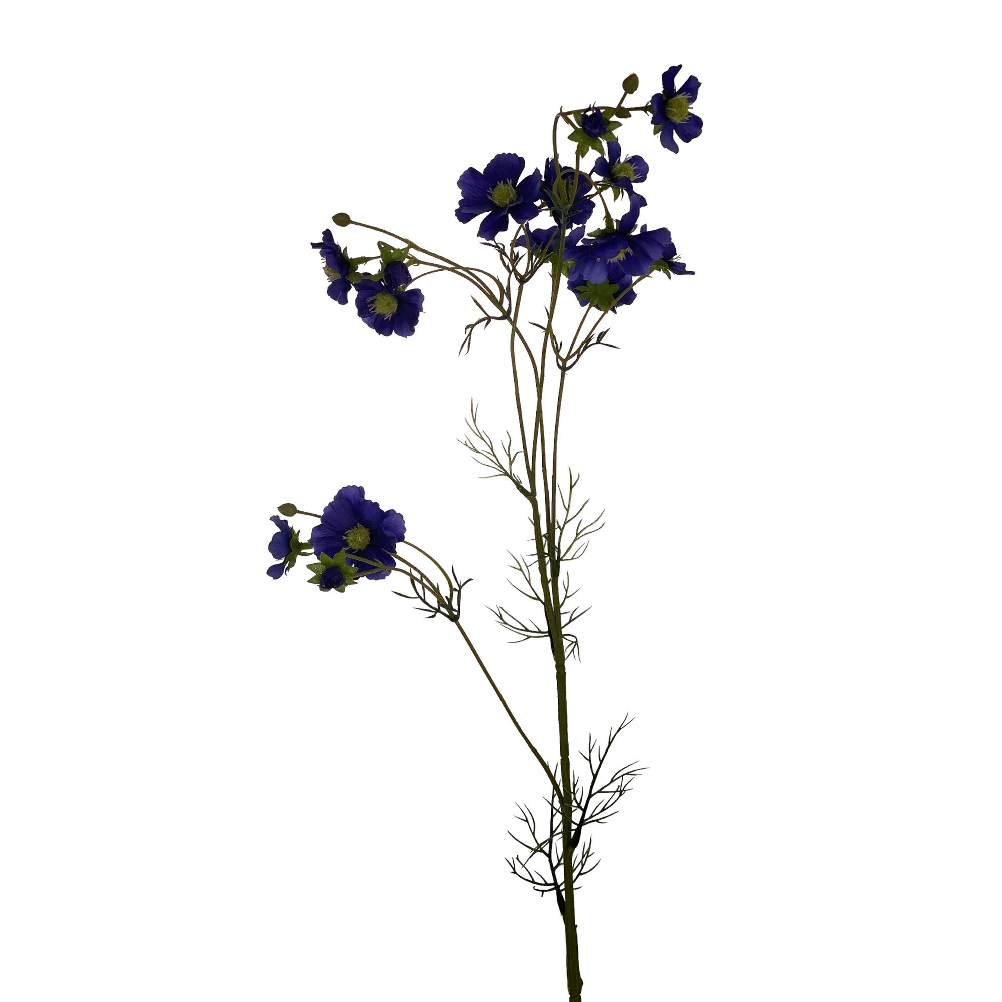 96CM FIVE START COSMOS X15 - 456-513001