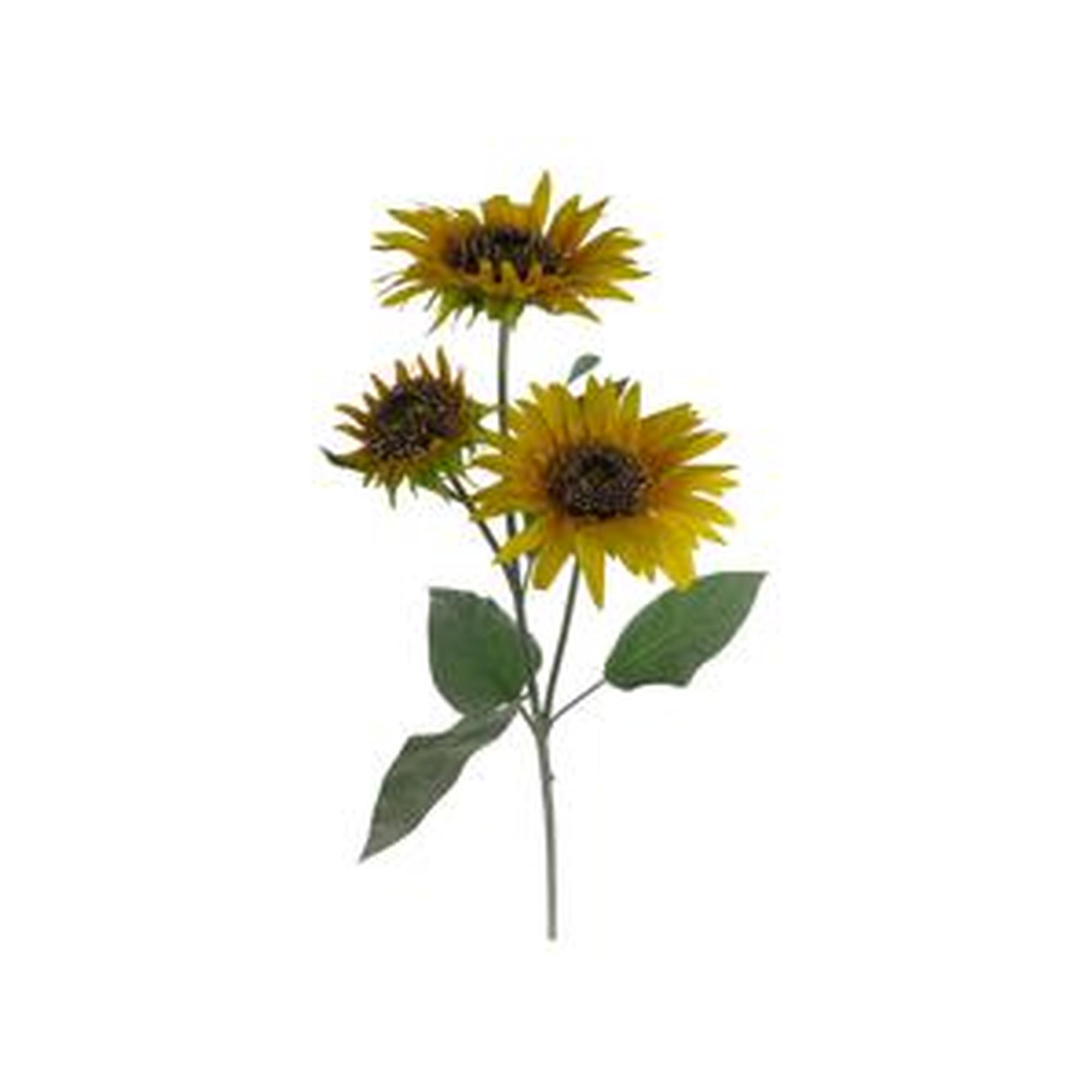 FLOR DECORATIVA 28X30X92CM - 456-513003