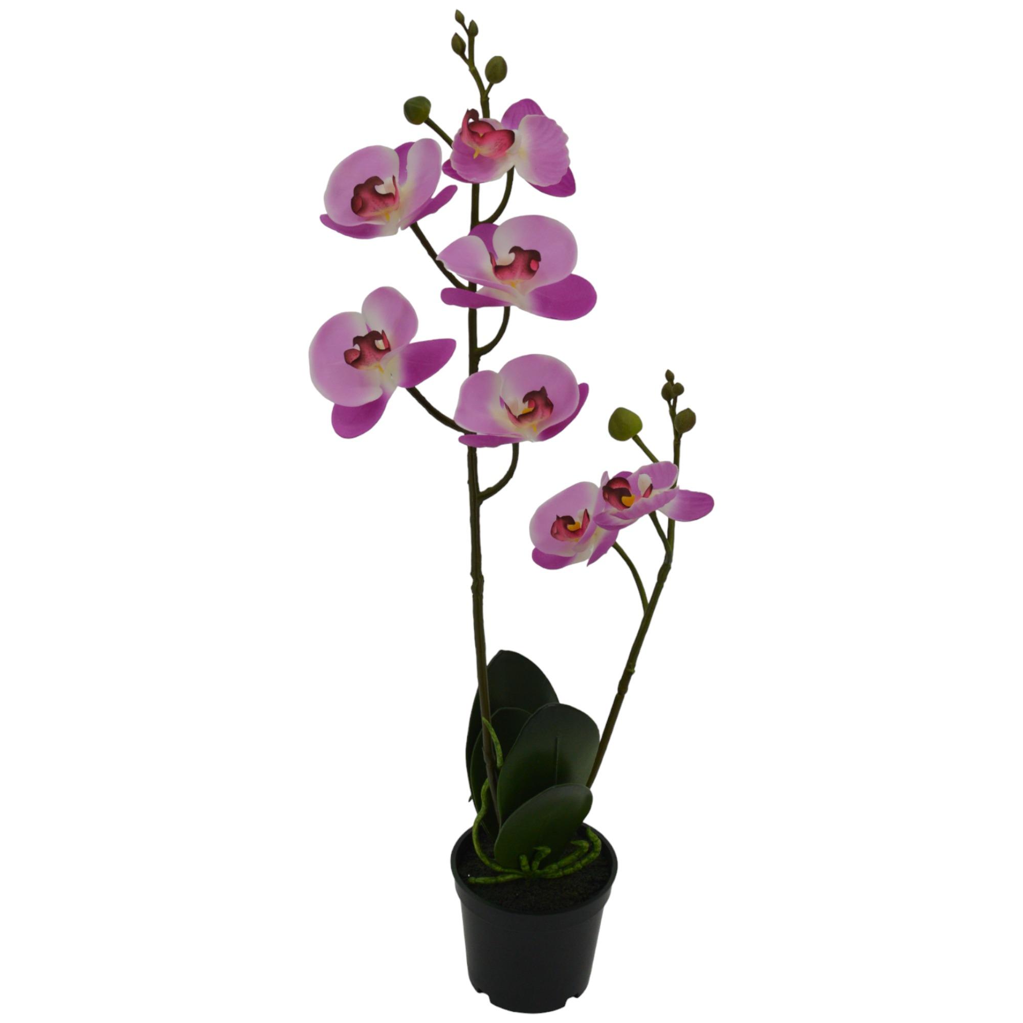 ORQUIDEA13X15X53CM - 456-513111