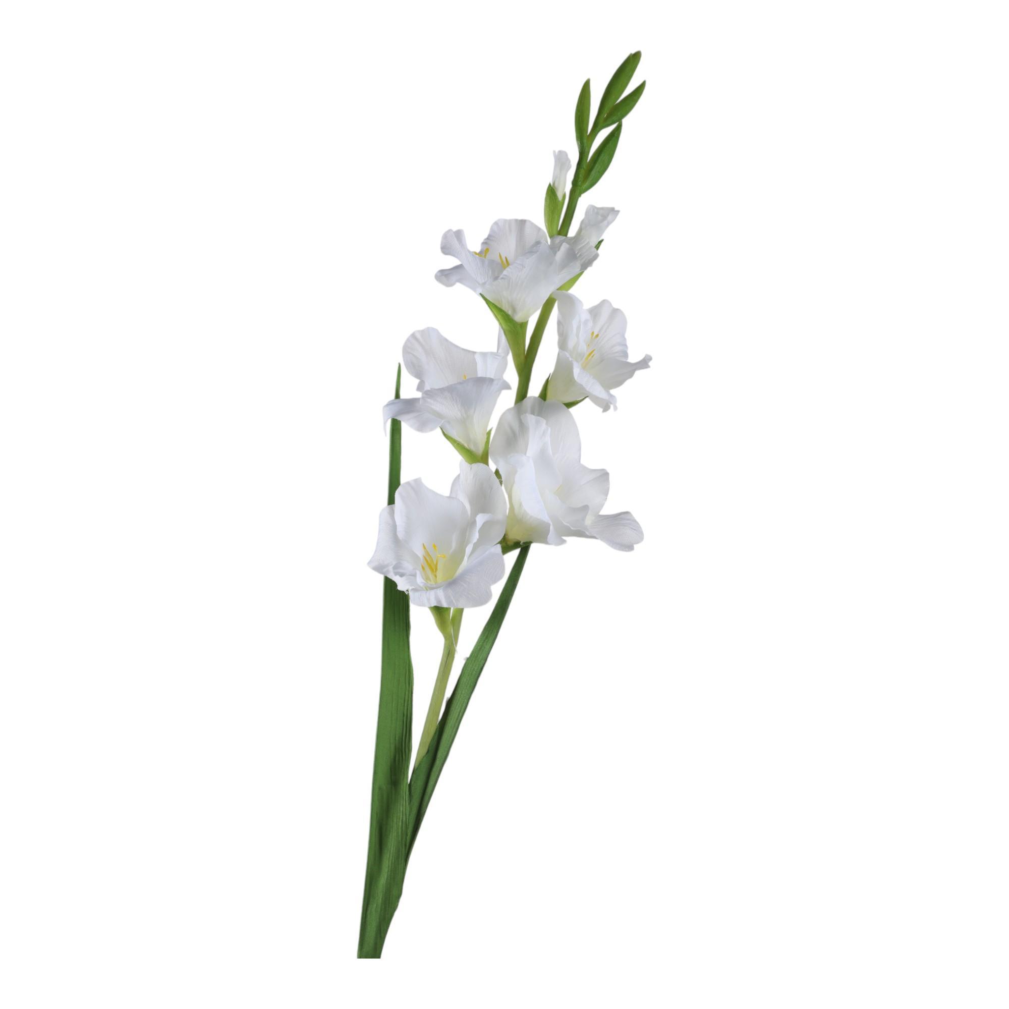 GLADIOLA DECOR 8X10X91CM - 456-513133