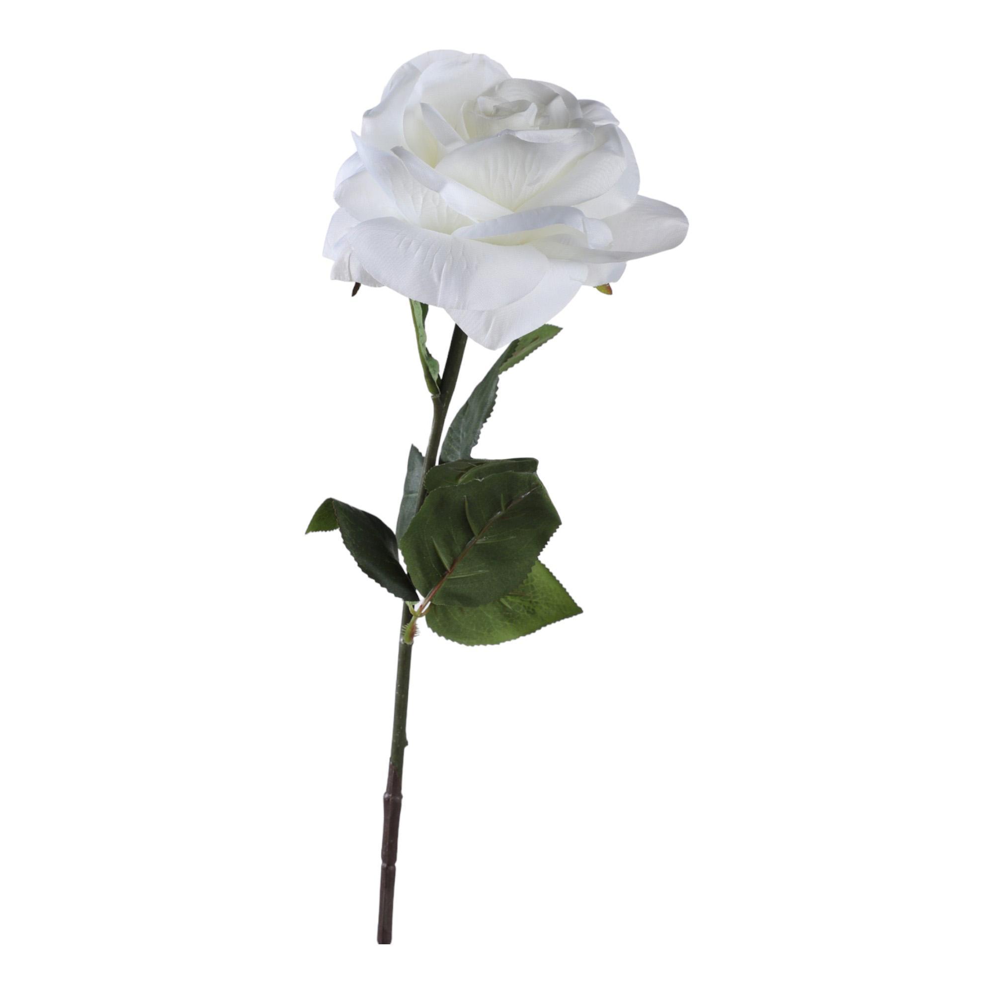 ROSA 8X10X61CM - 456-513137