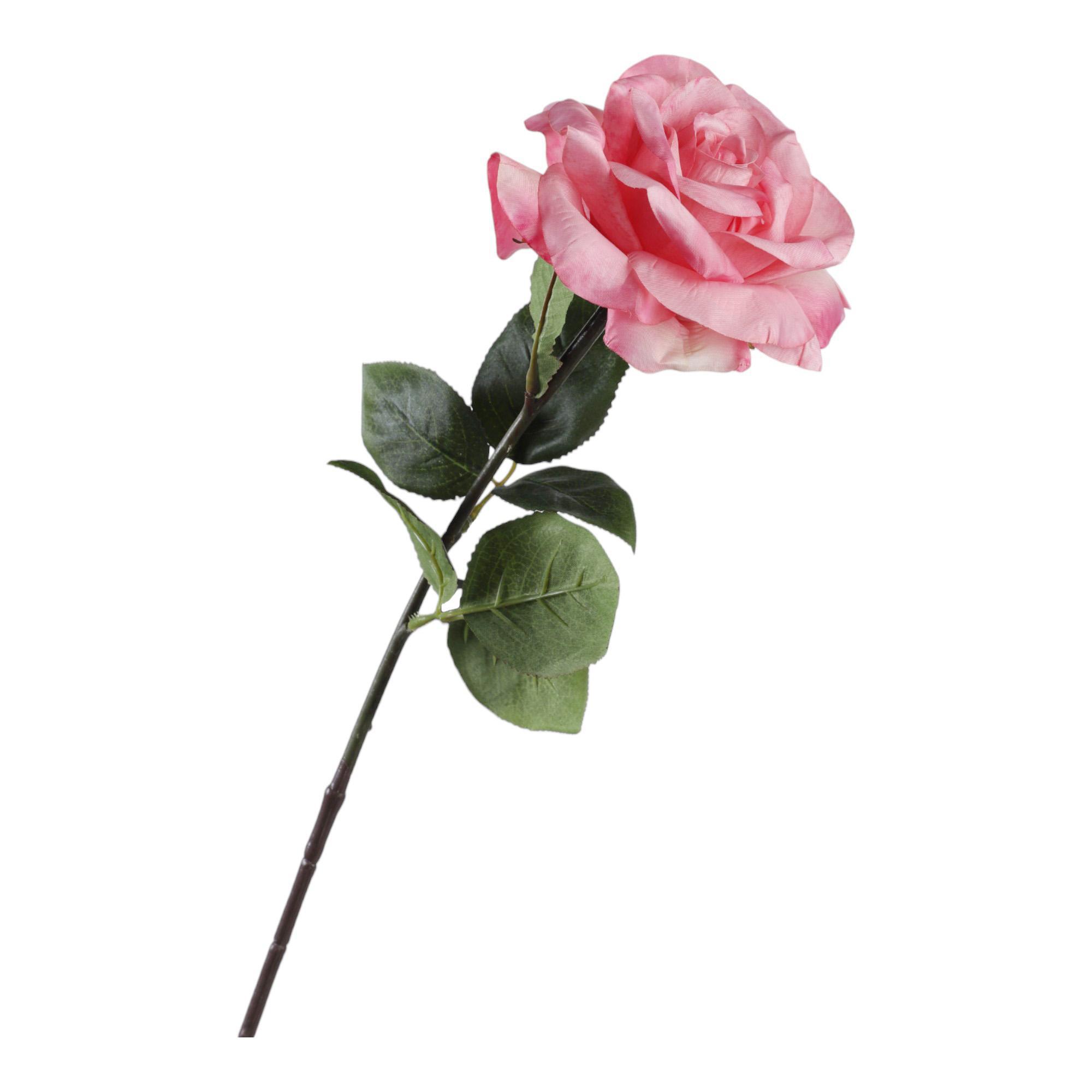 ROSA 8X10X61CM - 456-513155