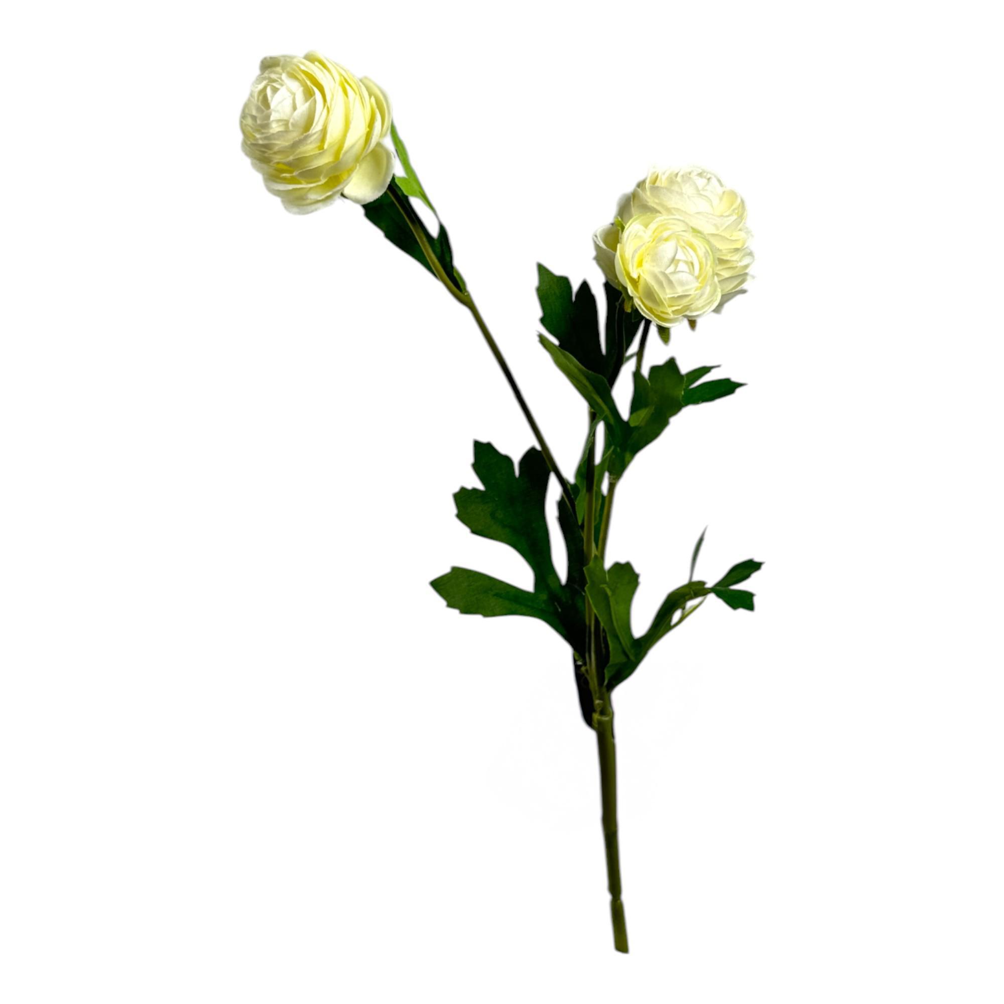 DECORAÇÃO DE RANÚNCULO 10X8X42CM - 456-513229