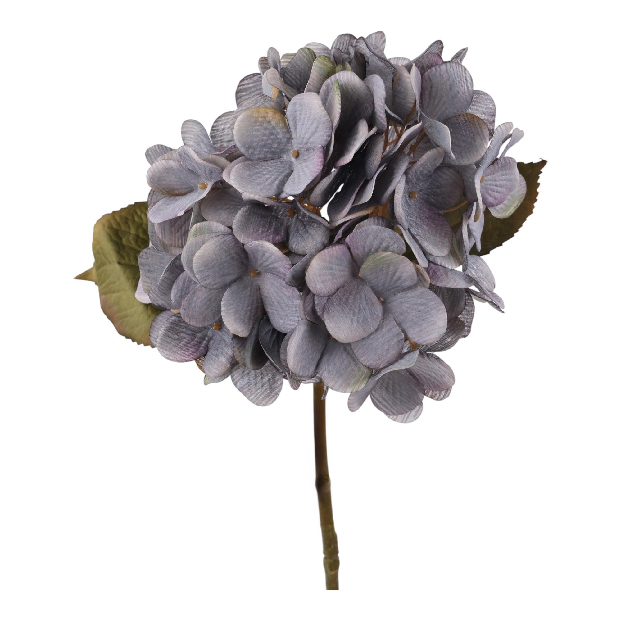 67CM HYDRANGEAX1 - 456-513339