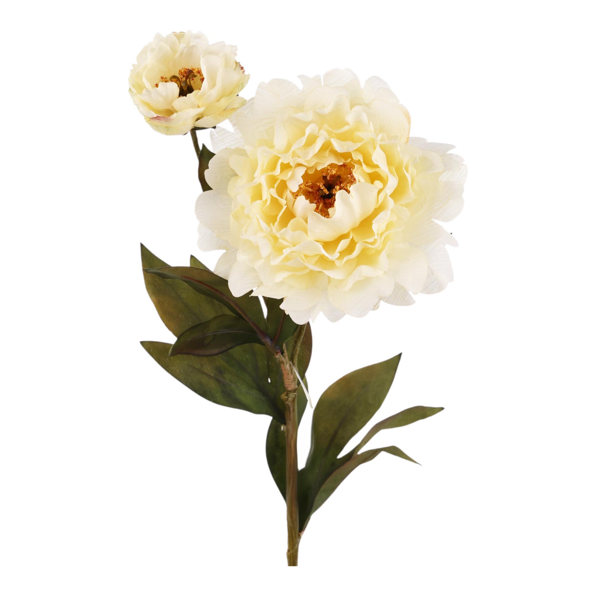 68CM PEONY X2 - 456-513388