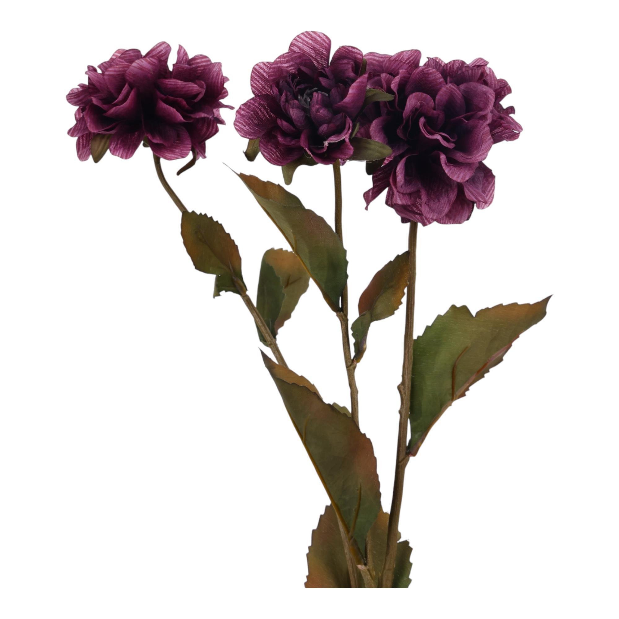 ZINNIA RAMA DECOR - 456-513396