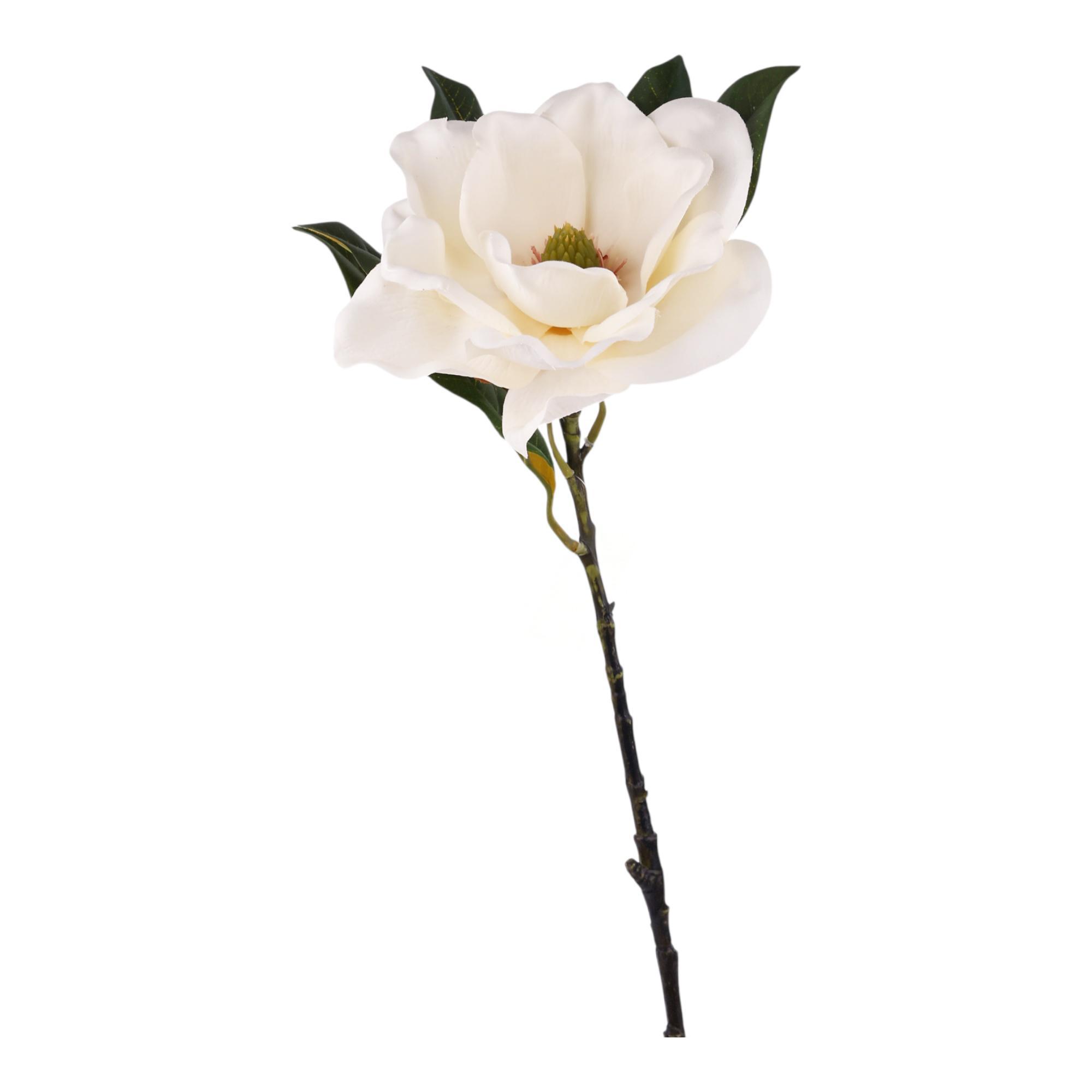 72CM LG MAGNOLIA1 - 456-513409