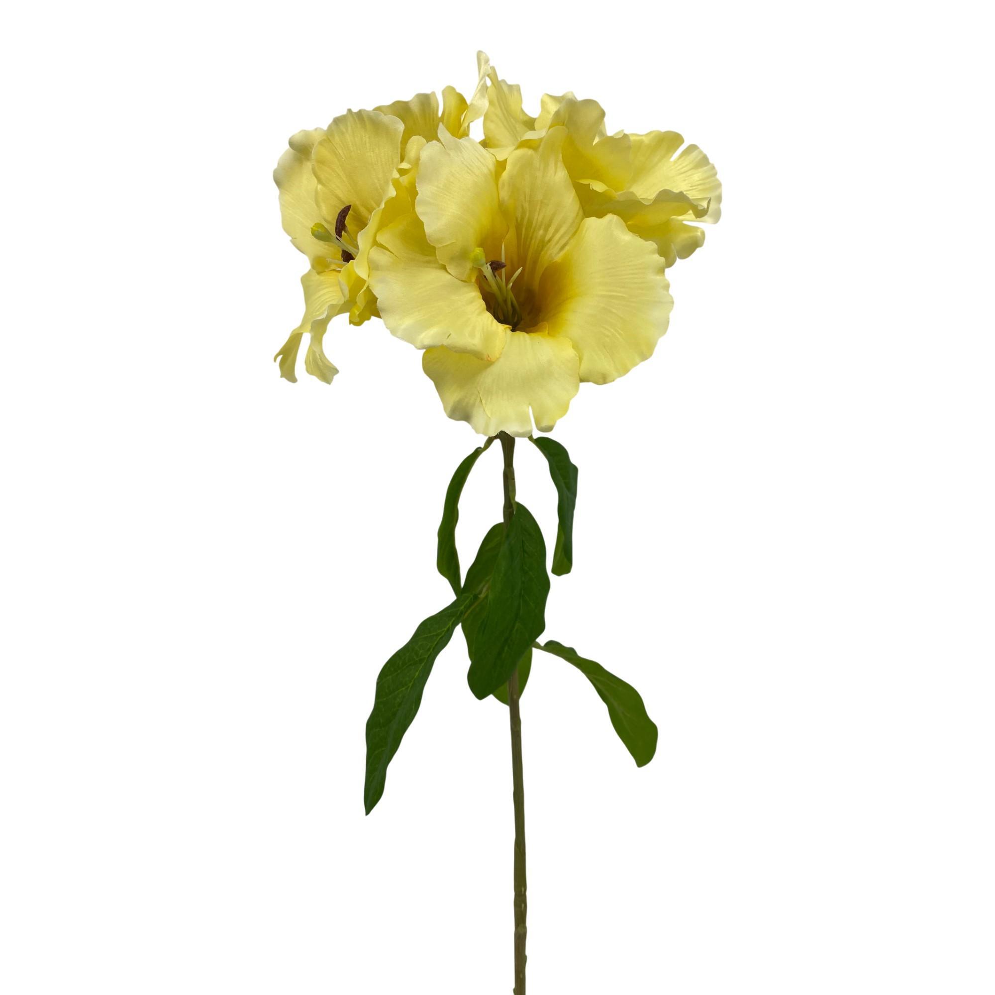 RODODENDRO NUTTALLII 15X88X18C - 456-513496