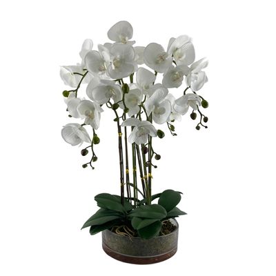ORQUIDEA C/POTE 25X25XCM