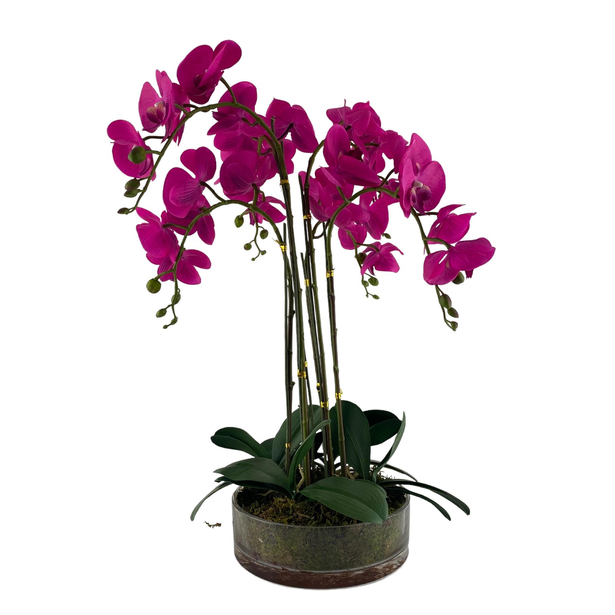 ORQUIDEA C/POTE 25X25XCM - 456-55360