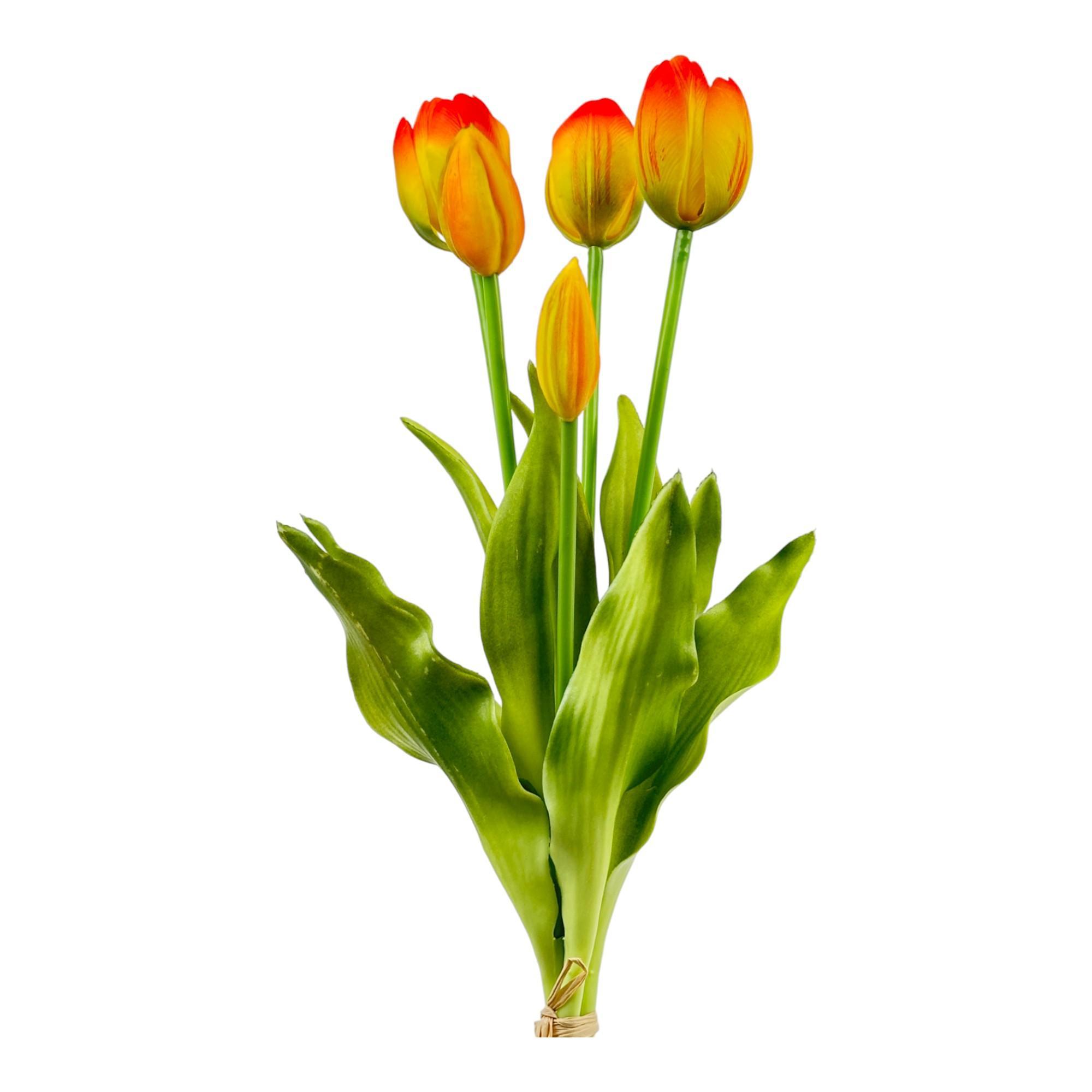 SINGL TULIP      H:39.5CM - 456-55414
