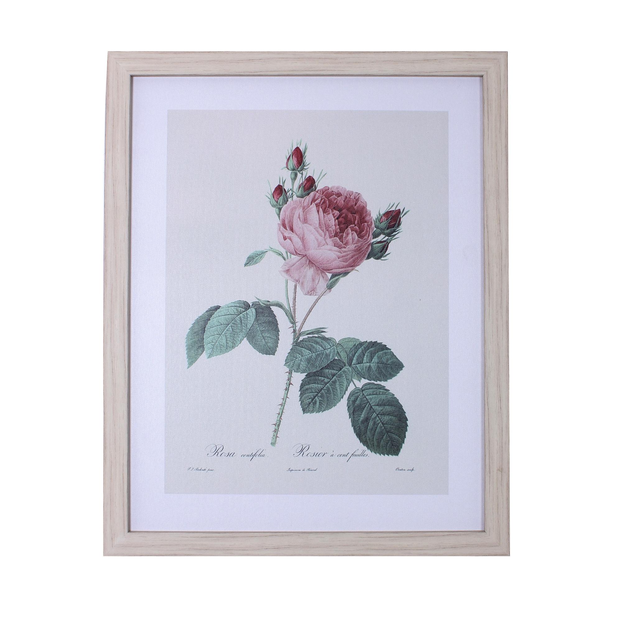 CUADRO 40X50X1.7CM - 530-422712