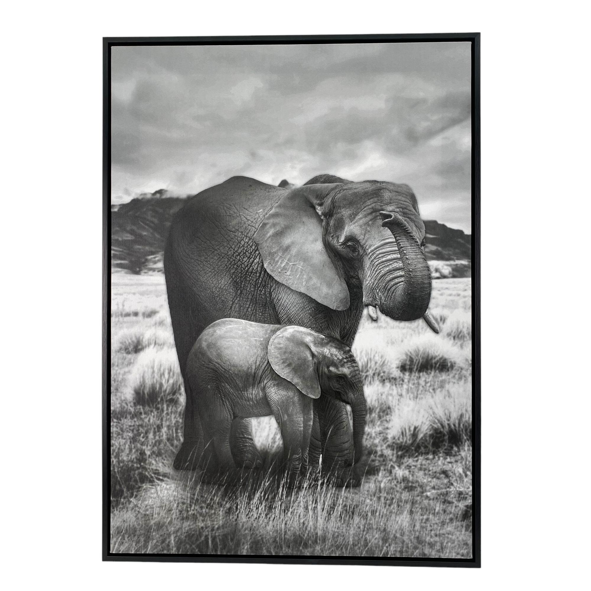 IMAGEM 50X3X70 CM - 530-423624