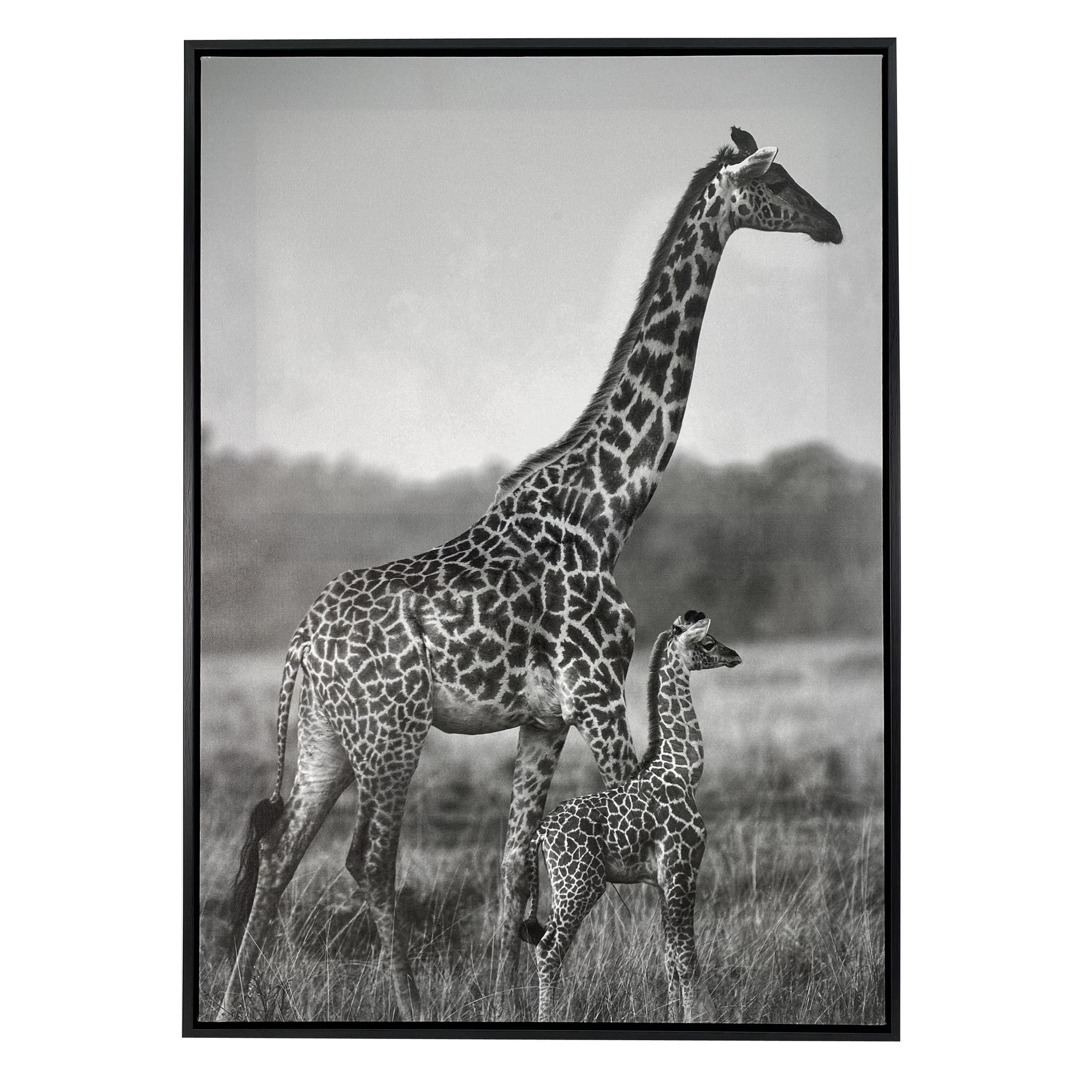 IMAGEM 50X3X70 CM - 530-423626