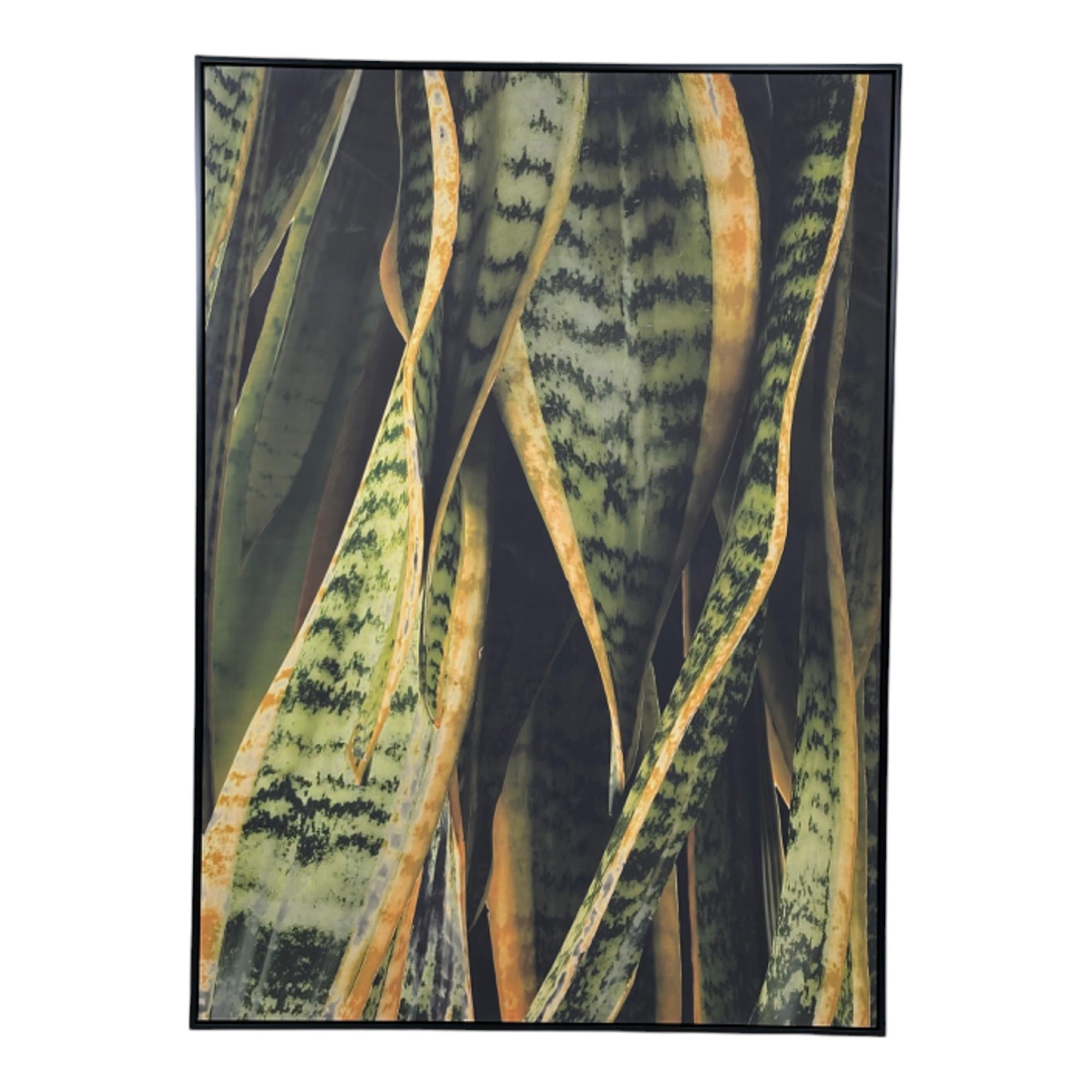 FRAMED CANVAS 100X140CM - 532-28561