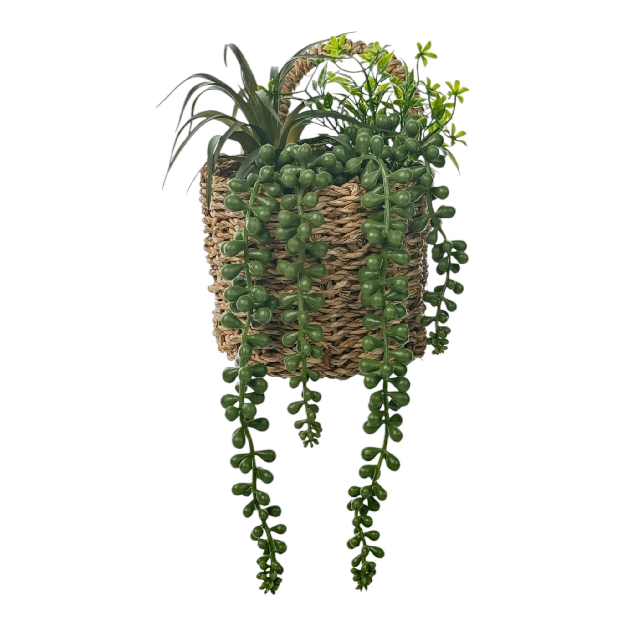 PLANTA C/POTE 12X12X19CM - 532-53211