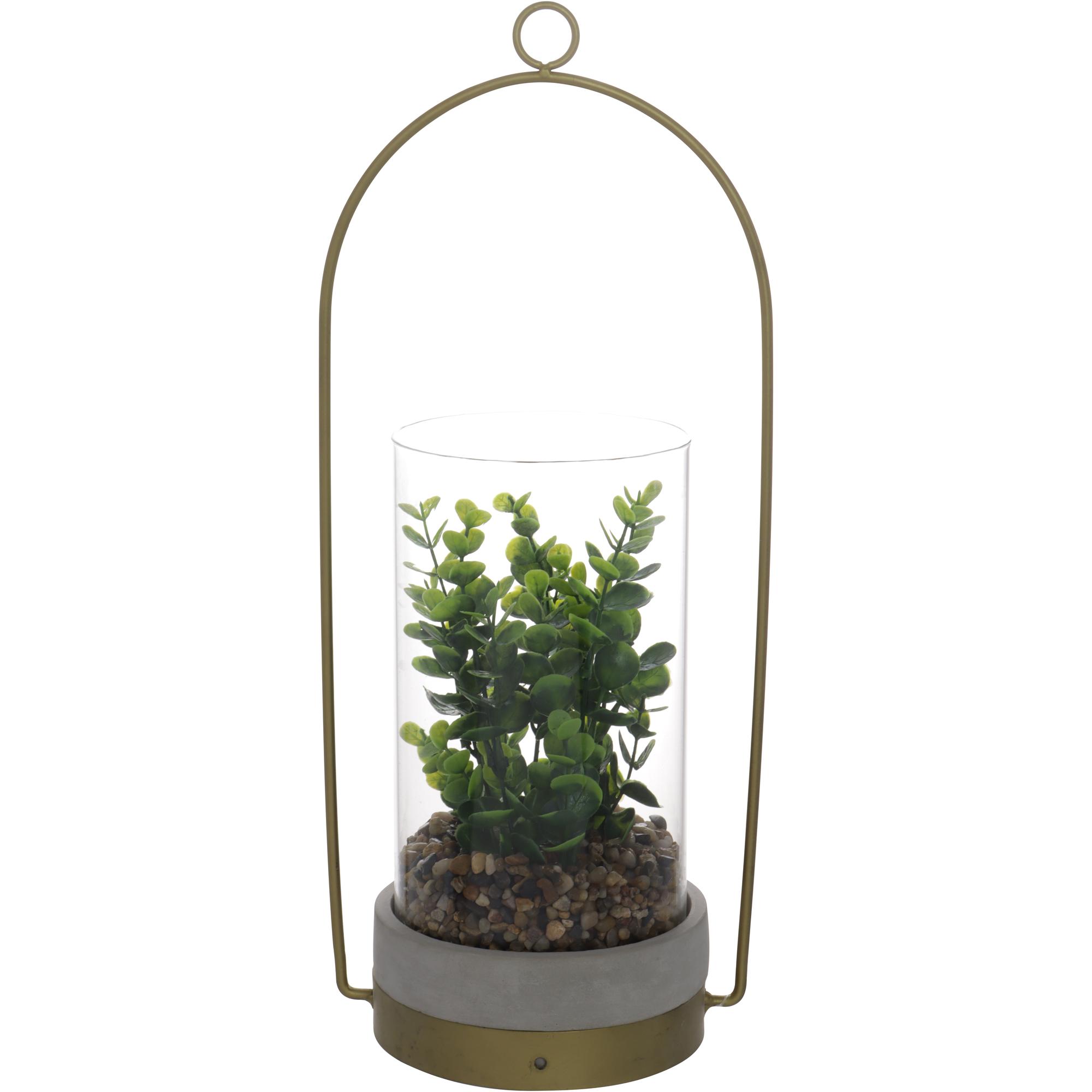 PLANT - 567-49181