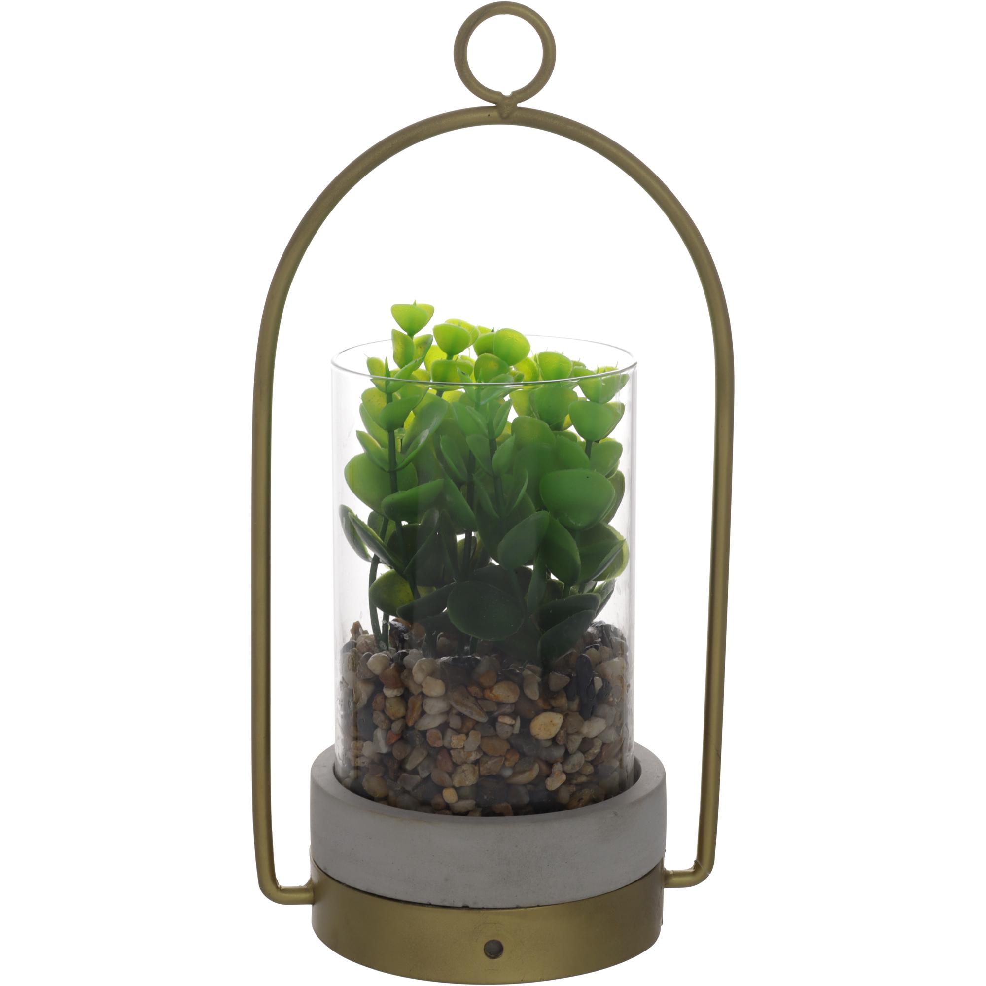 PLANT - 567-49183