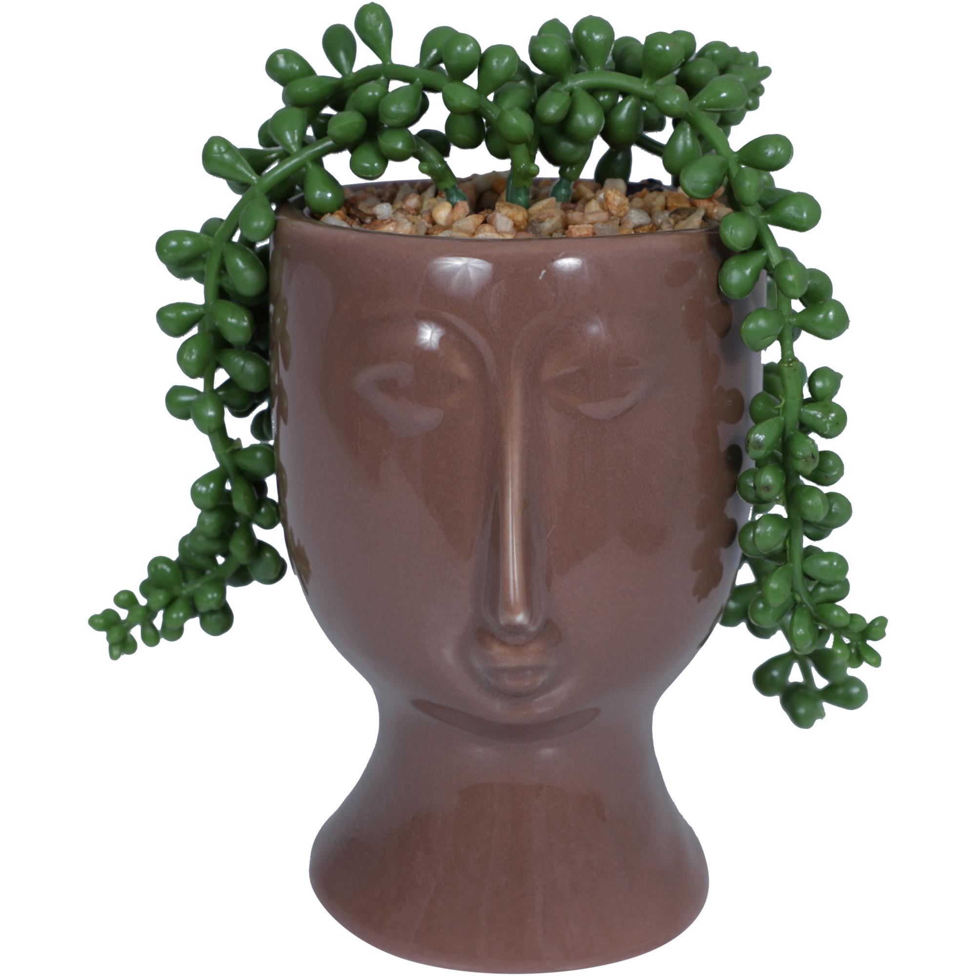 Plant - 567-49194