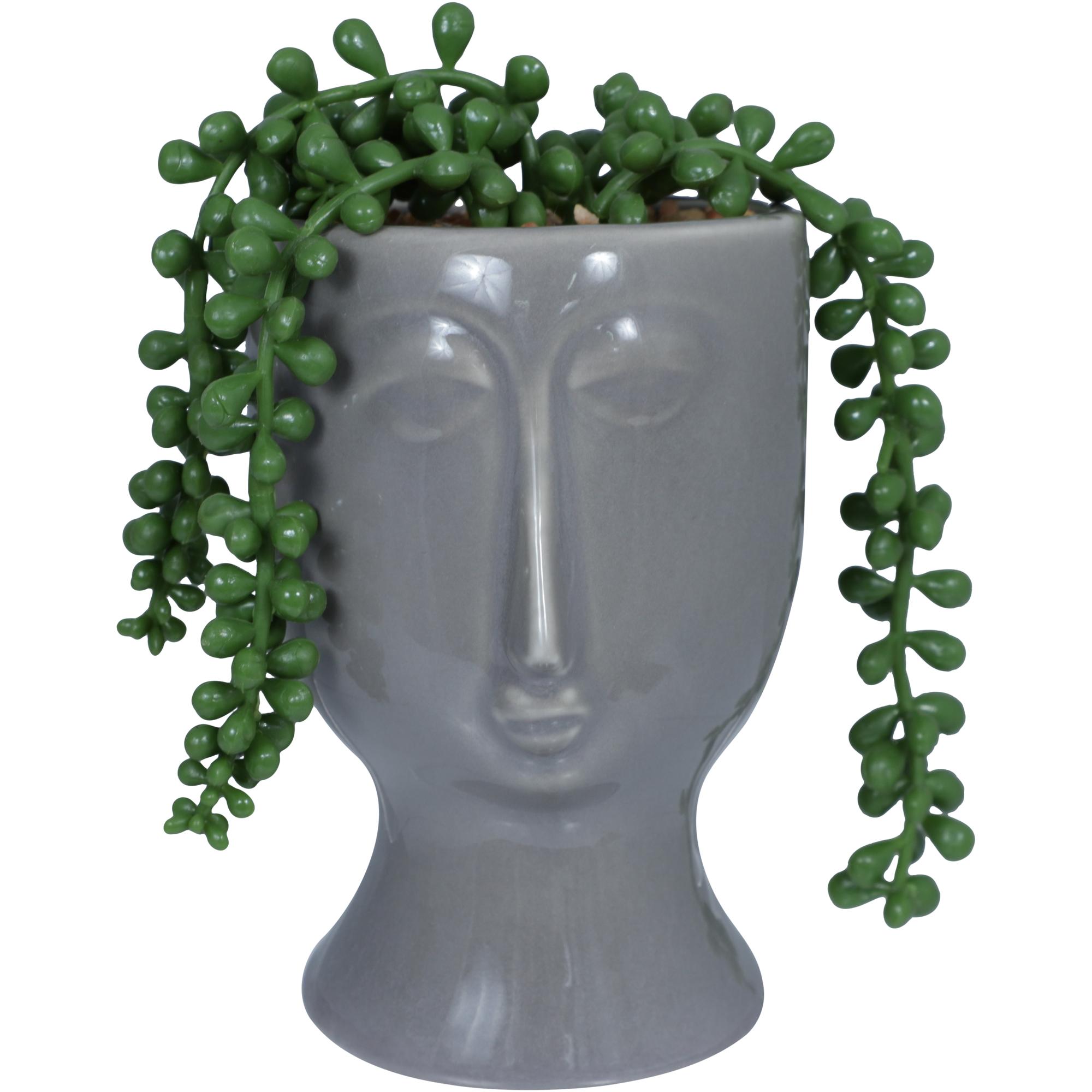 Plant - 567-49195