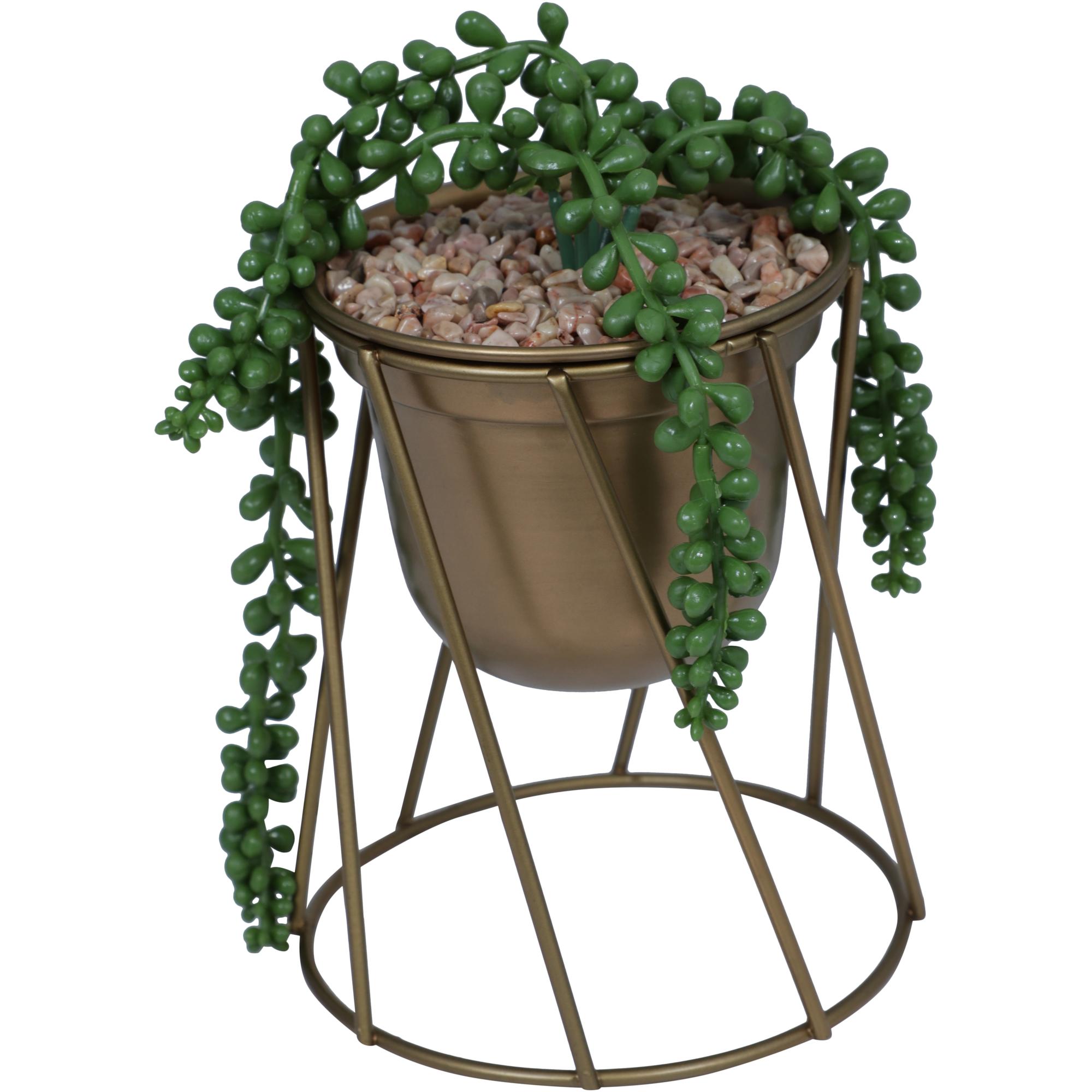 Plant - 567-49215