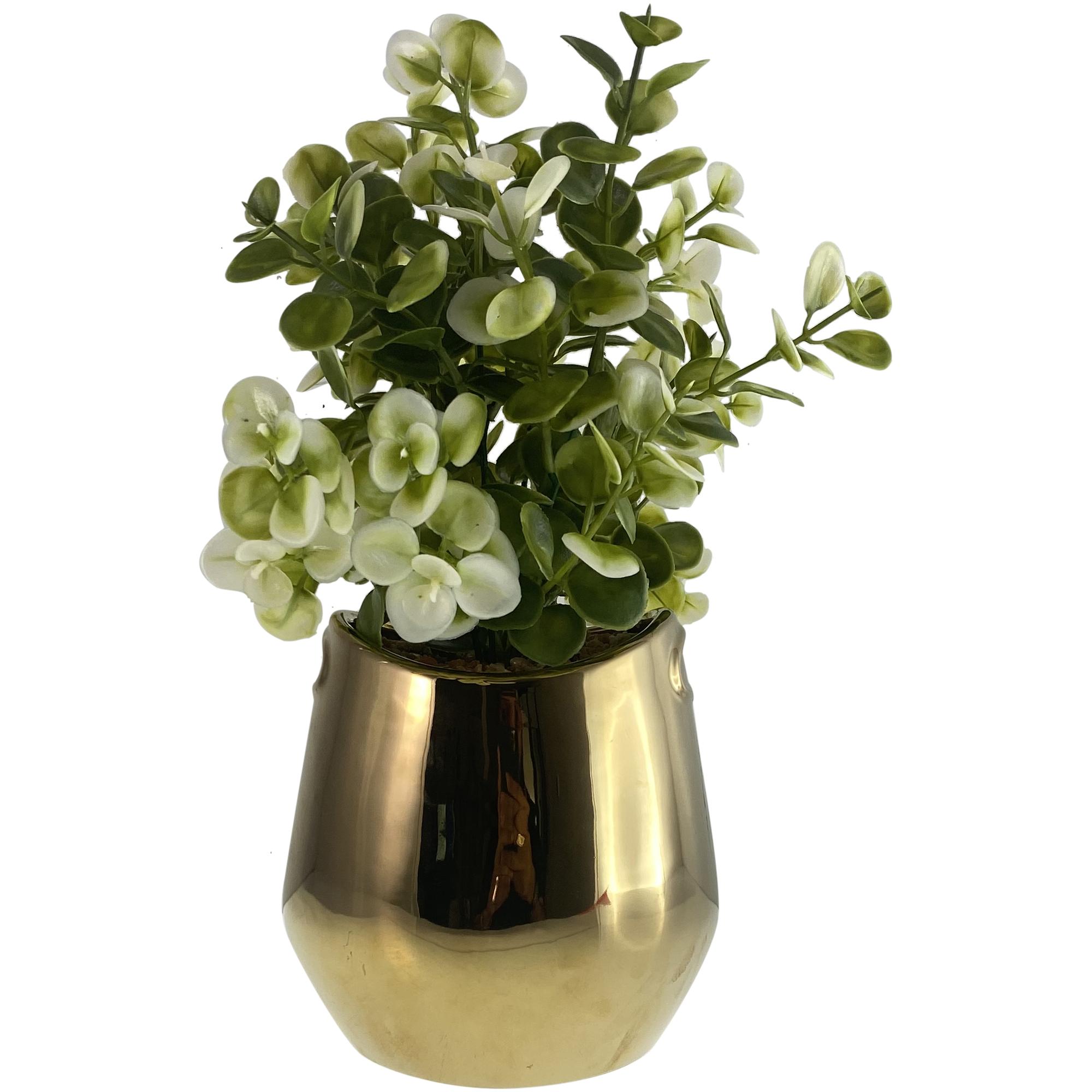 PLANT - 567-49233