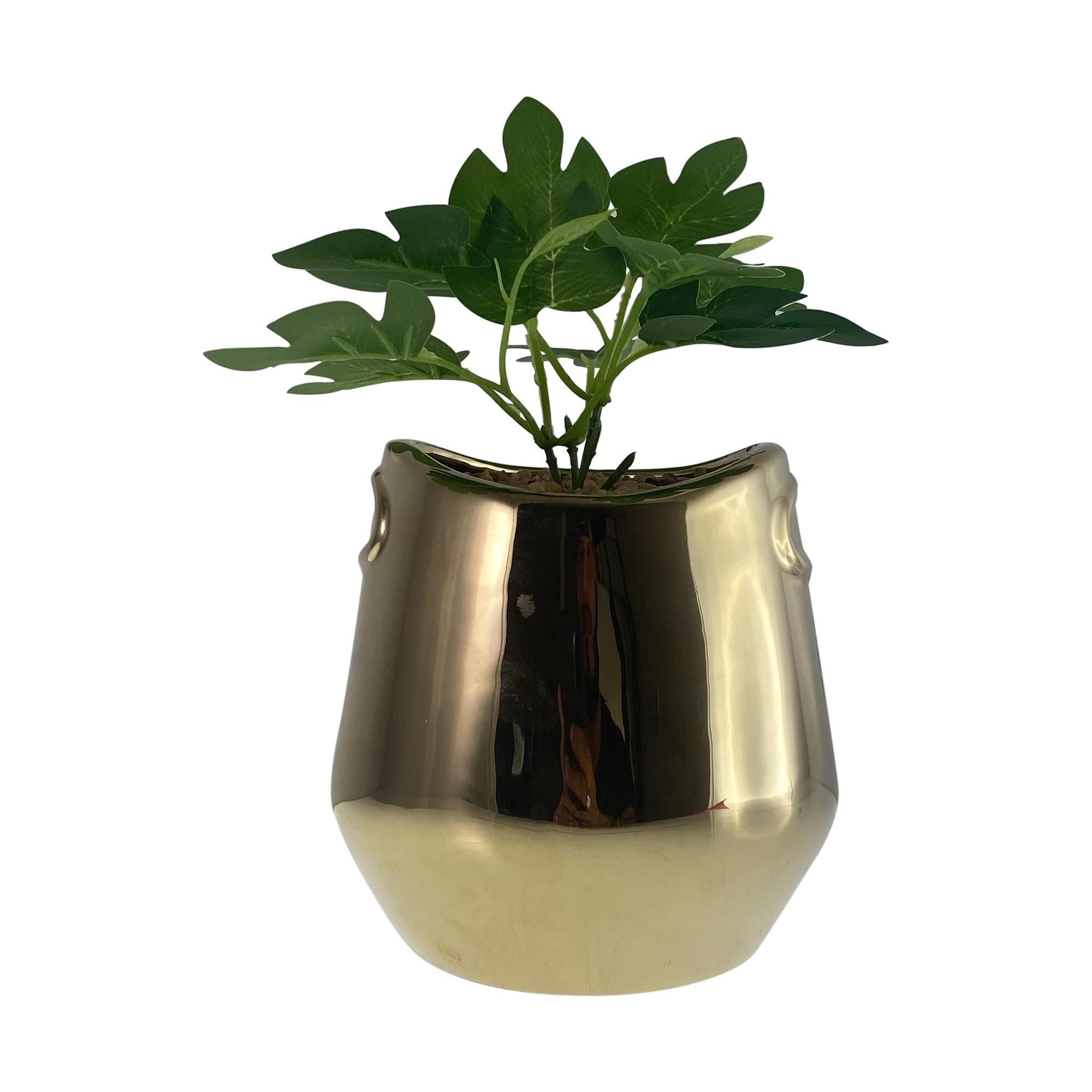 PLANTA 12X13X22CM - 567-49234