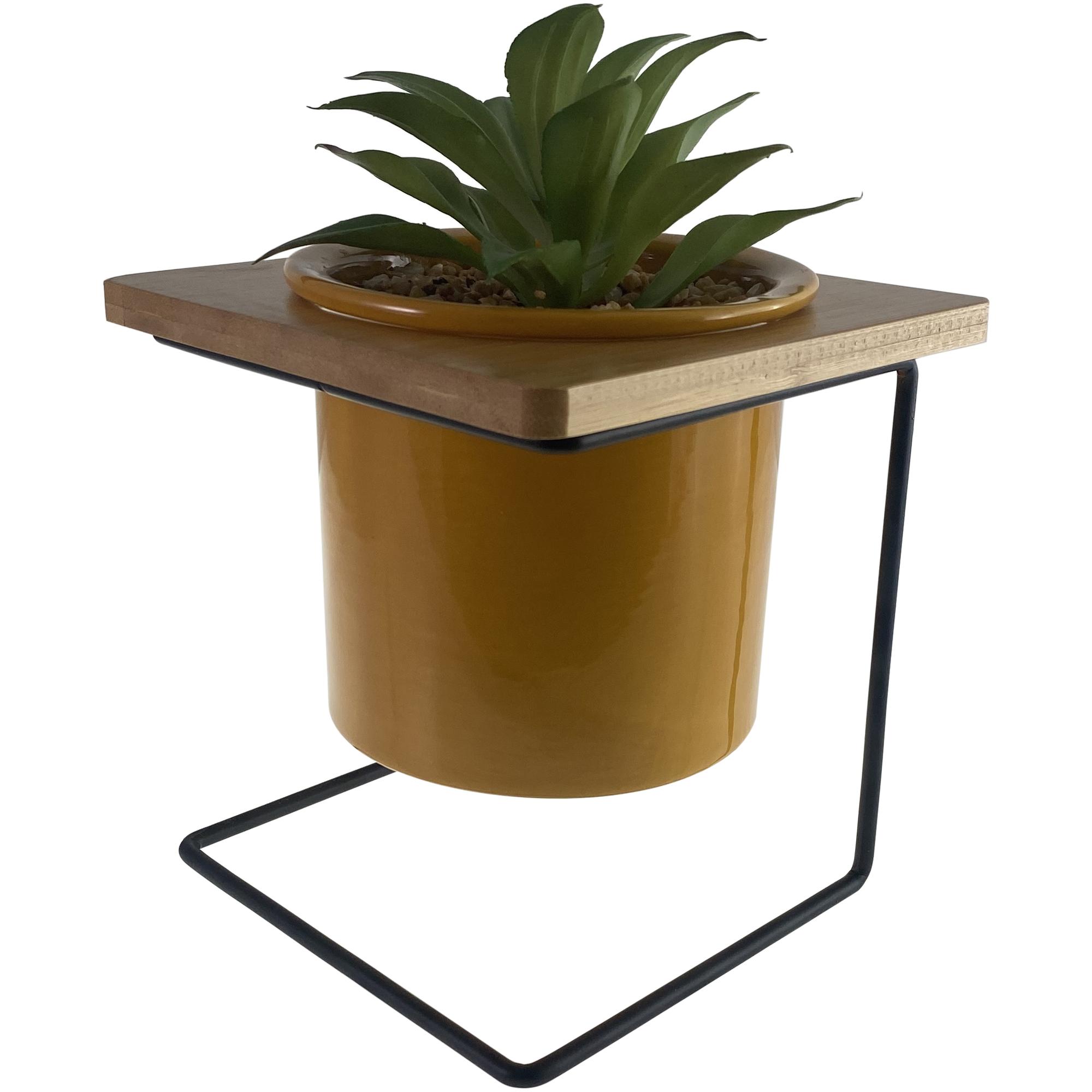 PLANT - 567-49254
