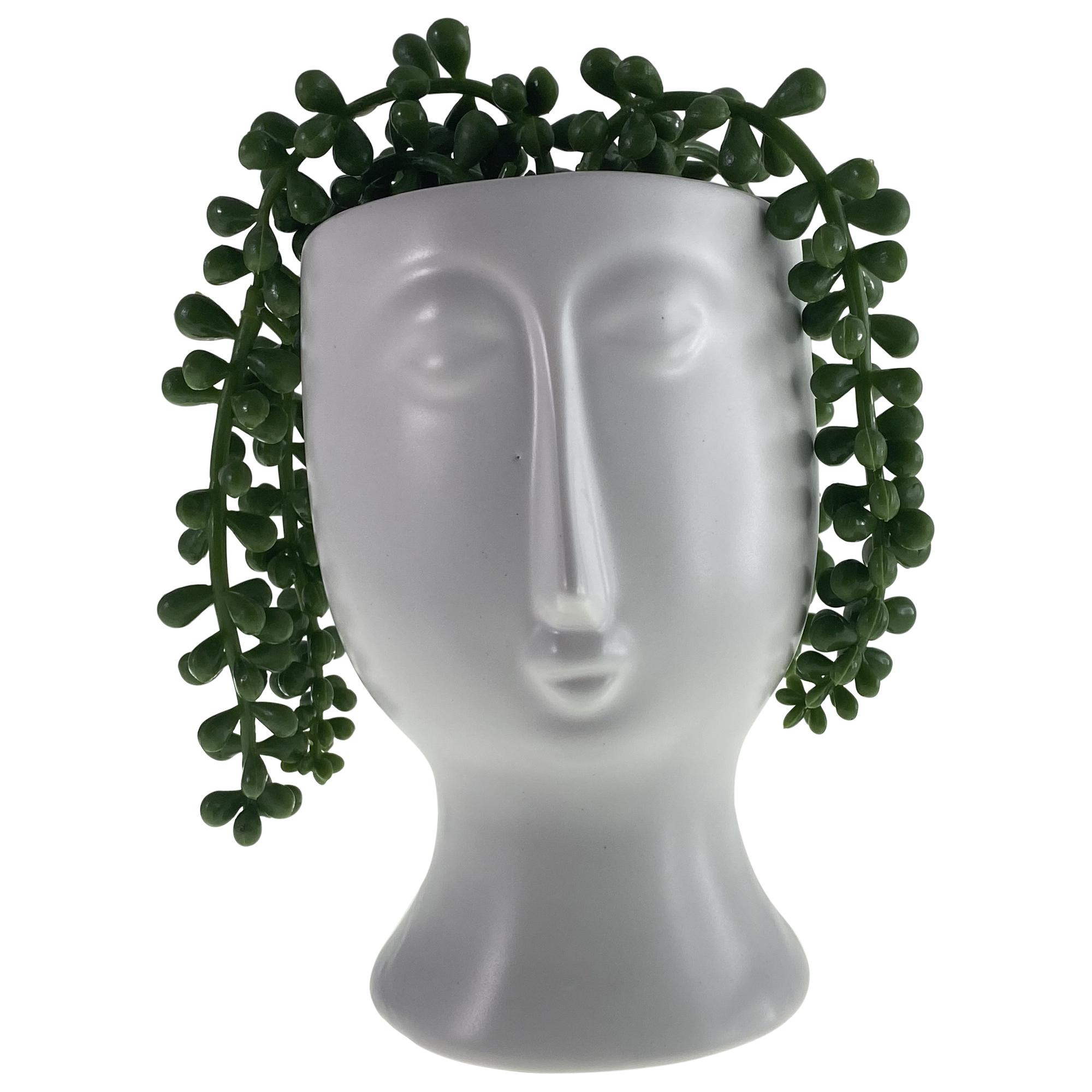 PLANT - 567-49258