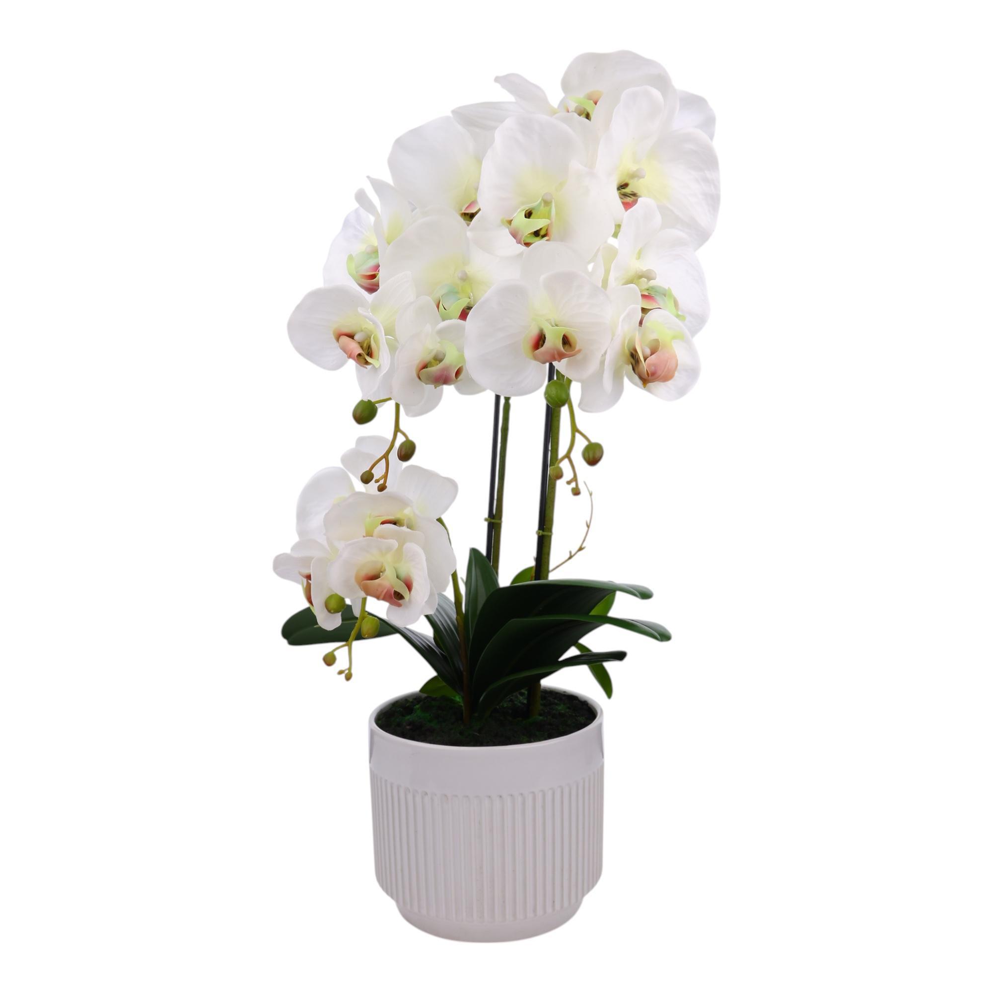 H60CM - 567-90003