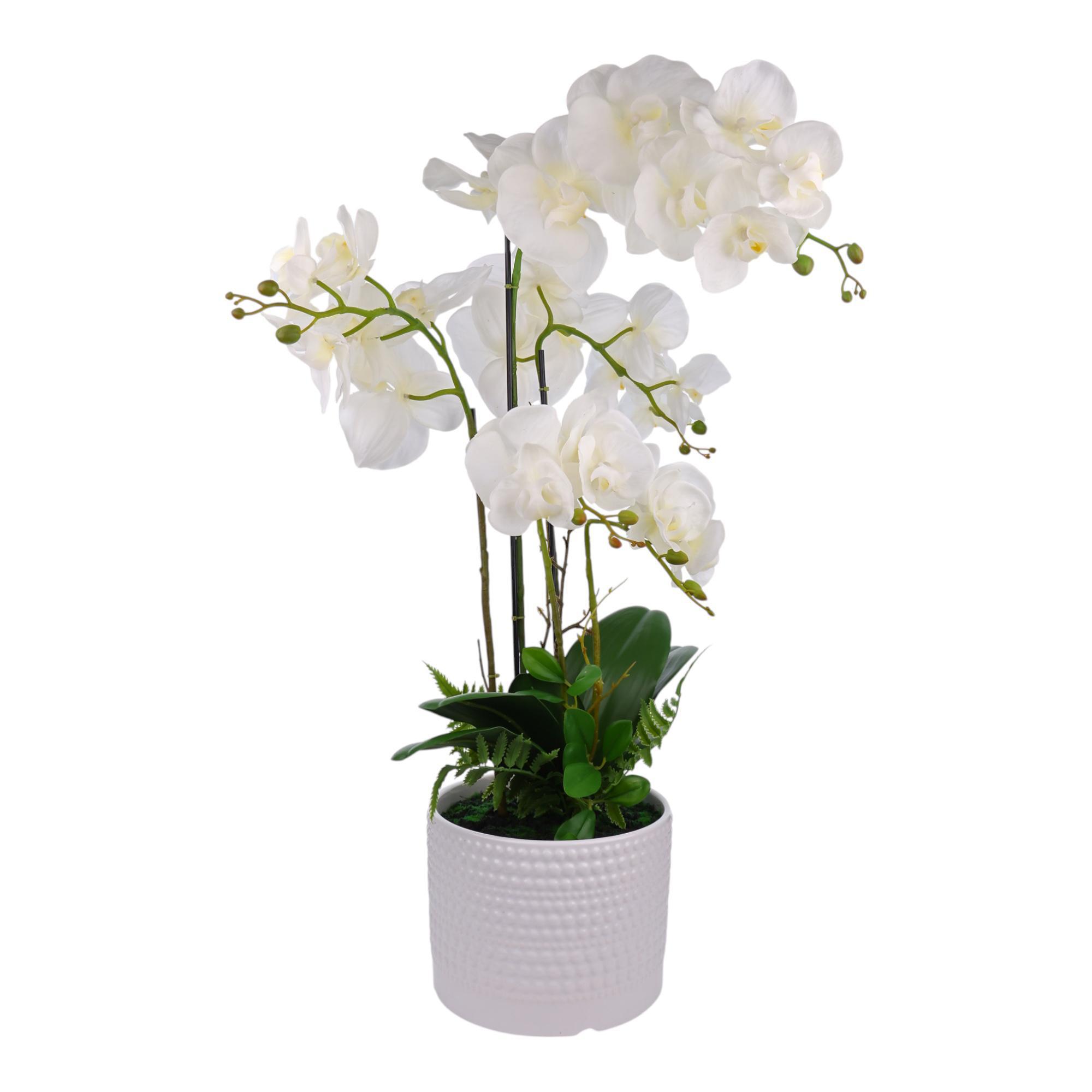 ORQUIDEA CON POTE X72CM - 567-90004
