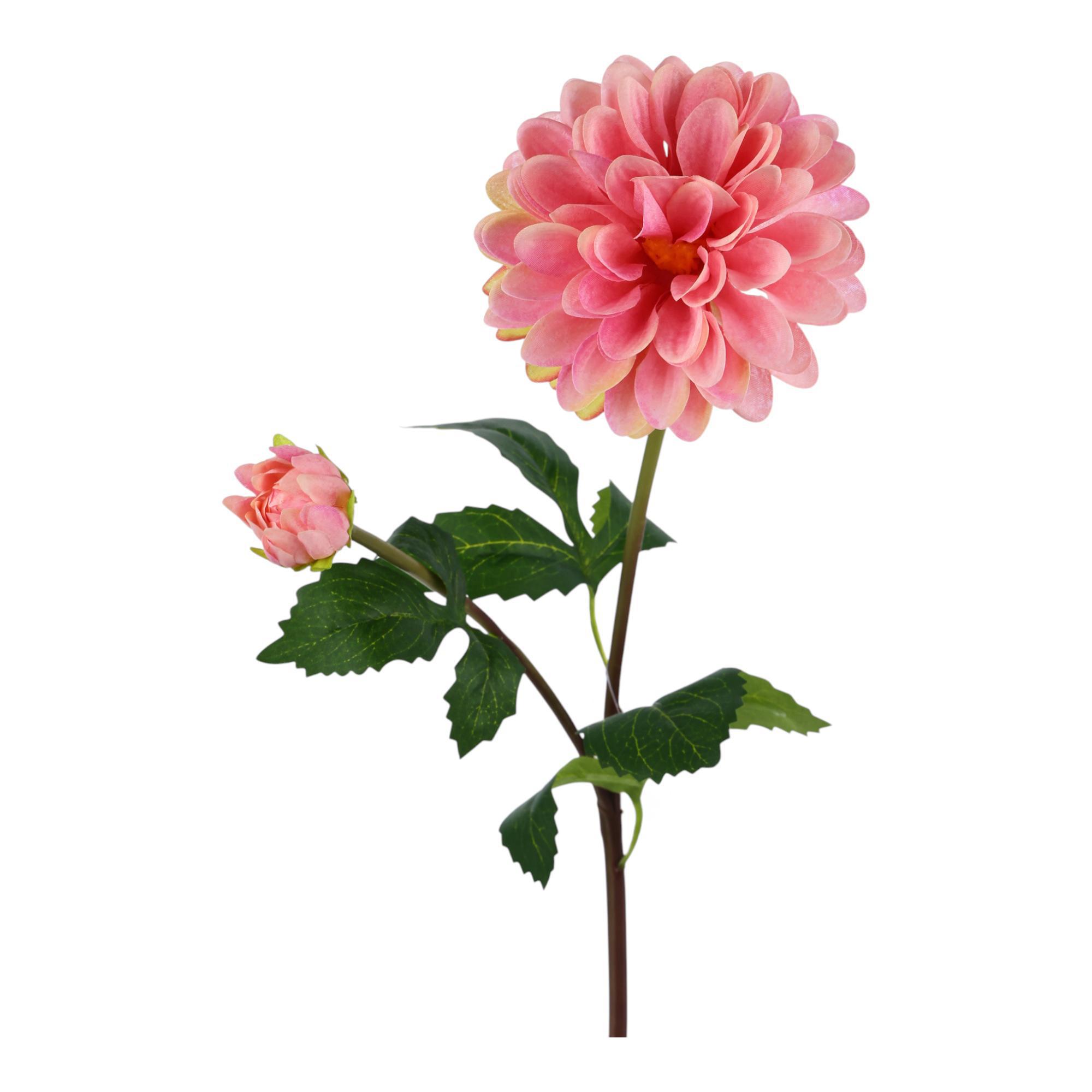 RAMA DALIA X70CM - 567-90015
