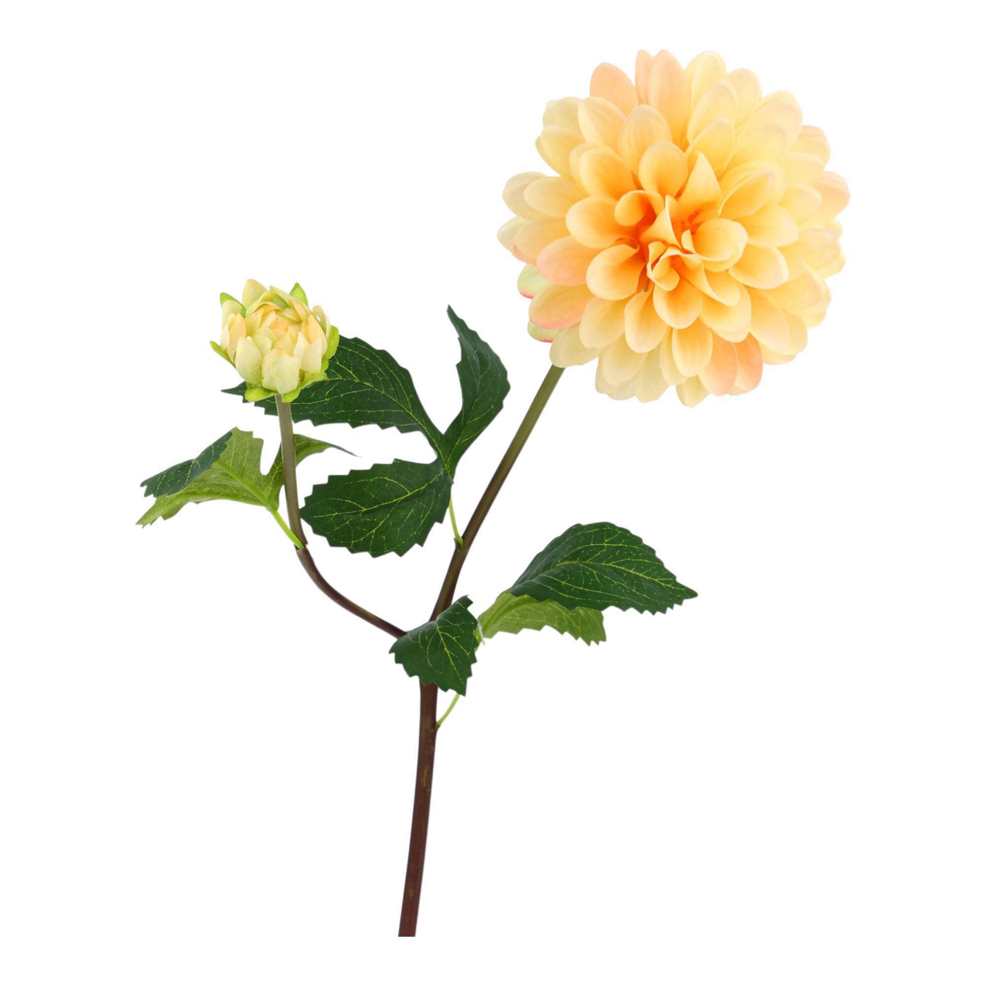RAMA DALIA X70CM - 567-90016